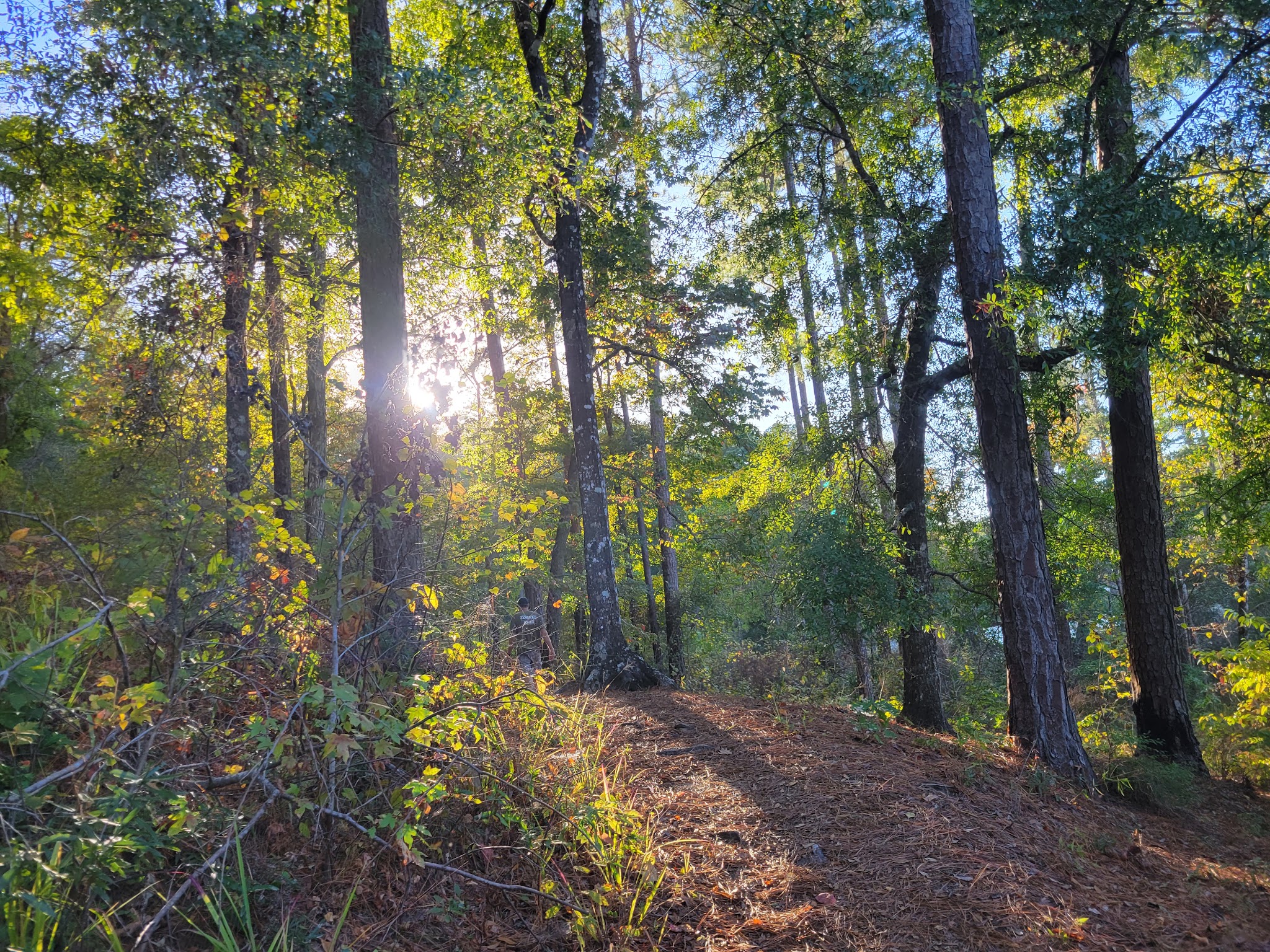 Clear Springs Recreation Area (Ms)