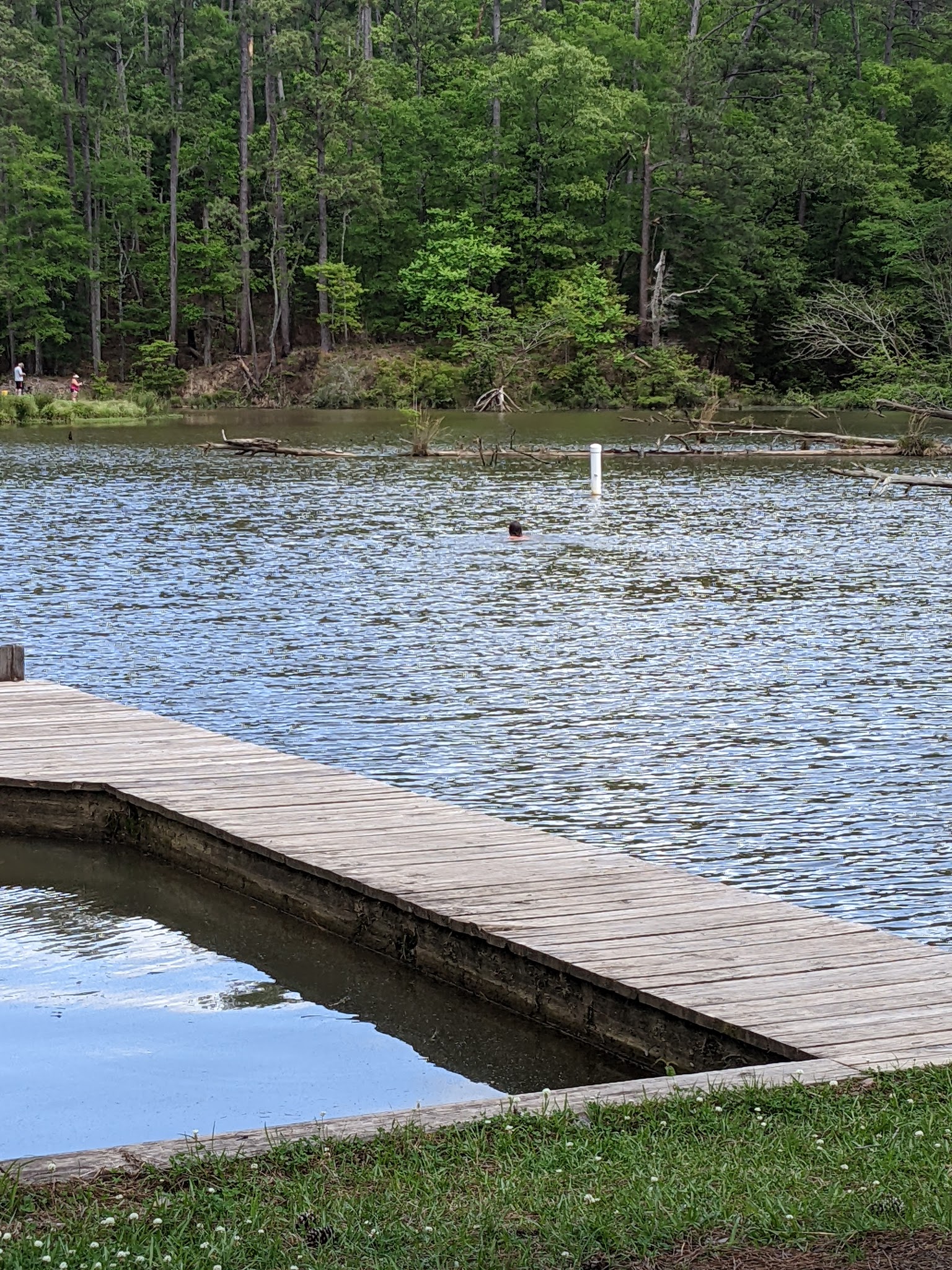 Clear Springs Recreation Area (Ms)