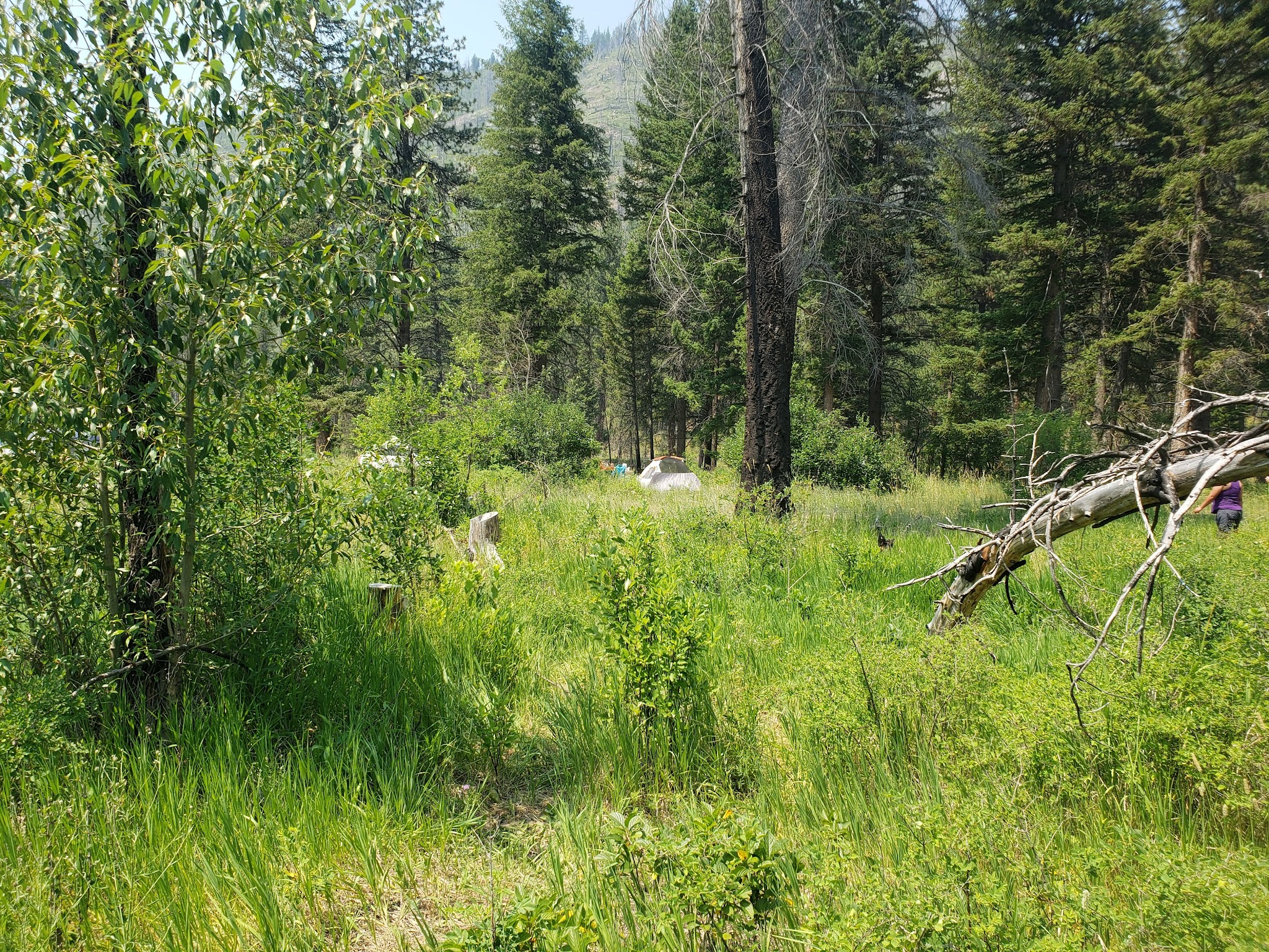 Clearwater Crossing Campground