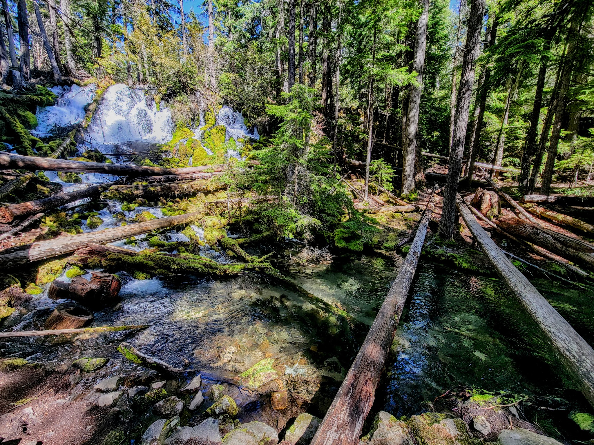 Clearwater Falls Campground