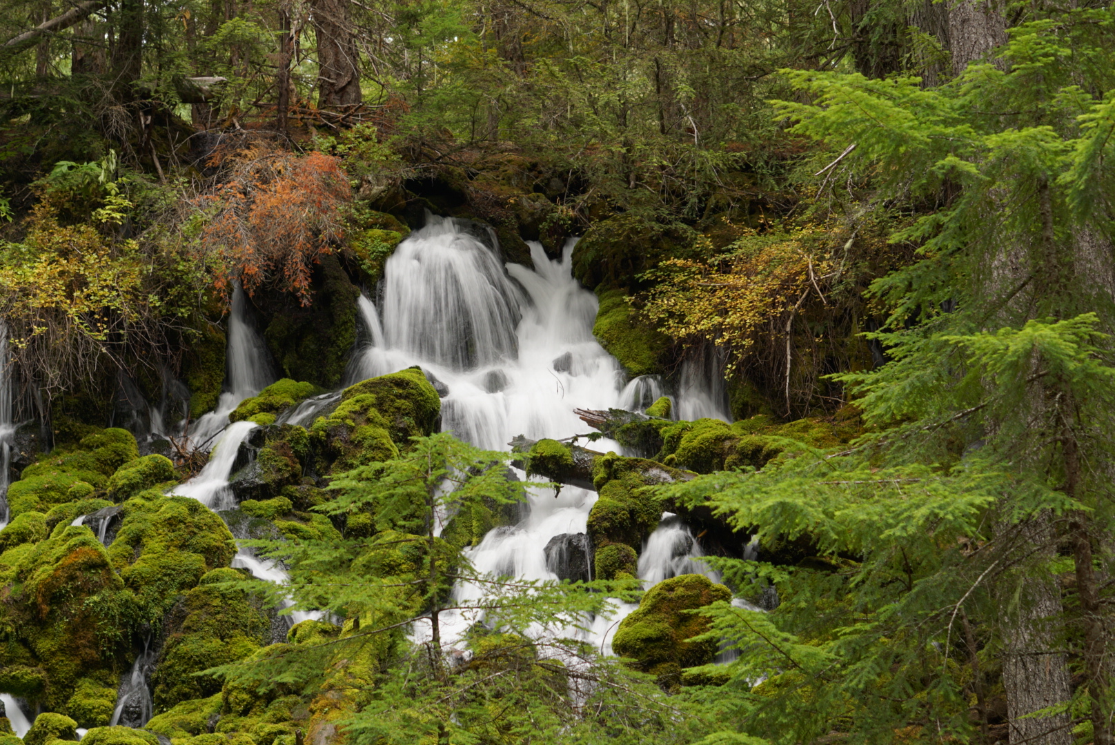 Clearwater Falls Campground