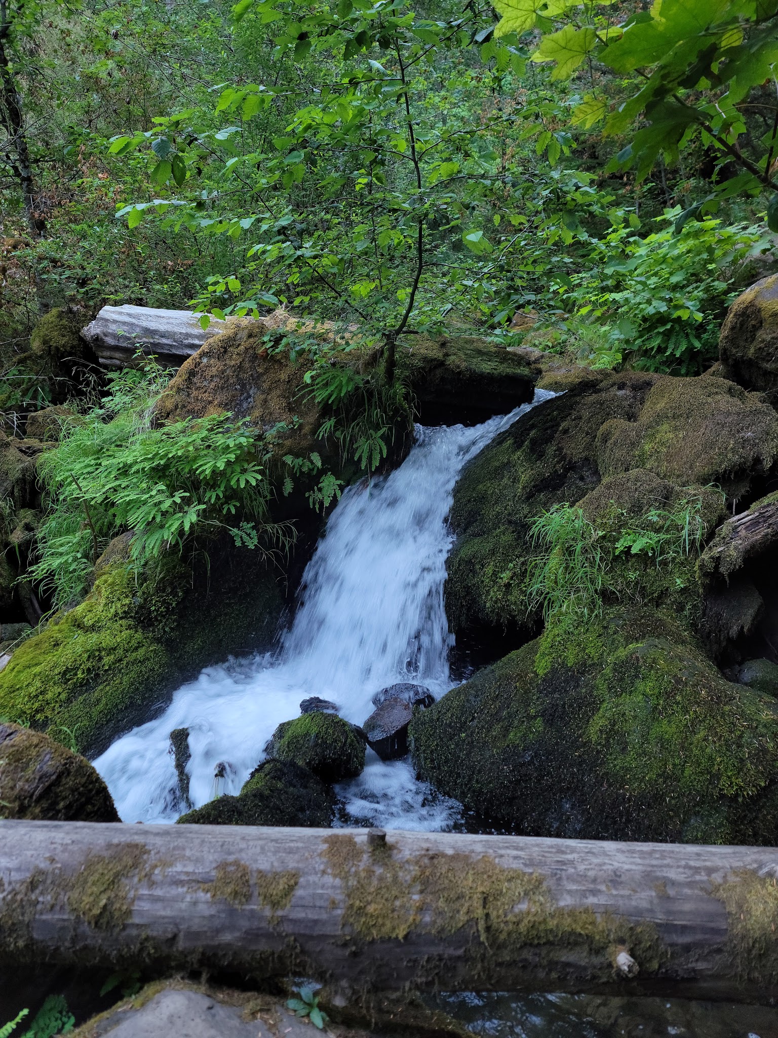 Clearwater Falls Campground