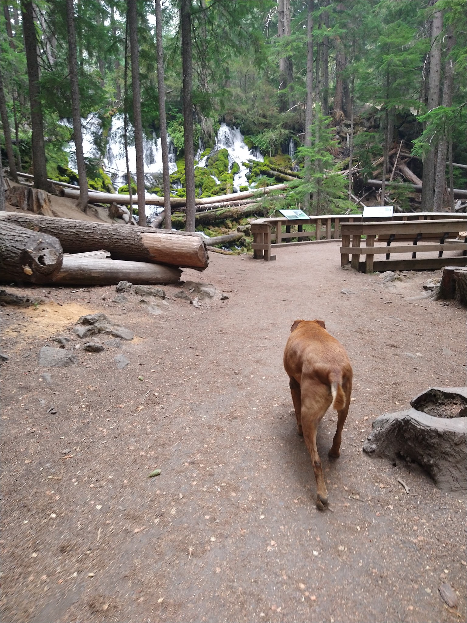 Clearwater Falls Campground