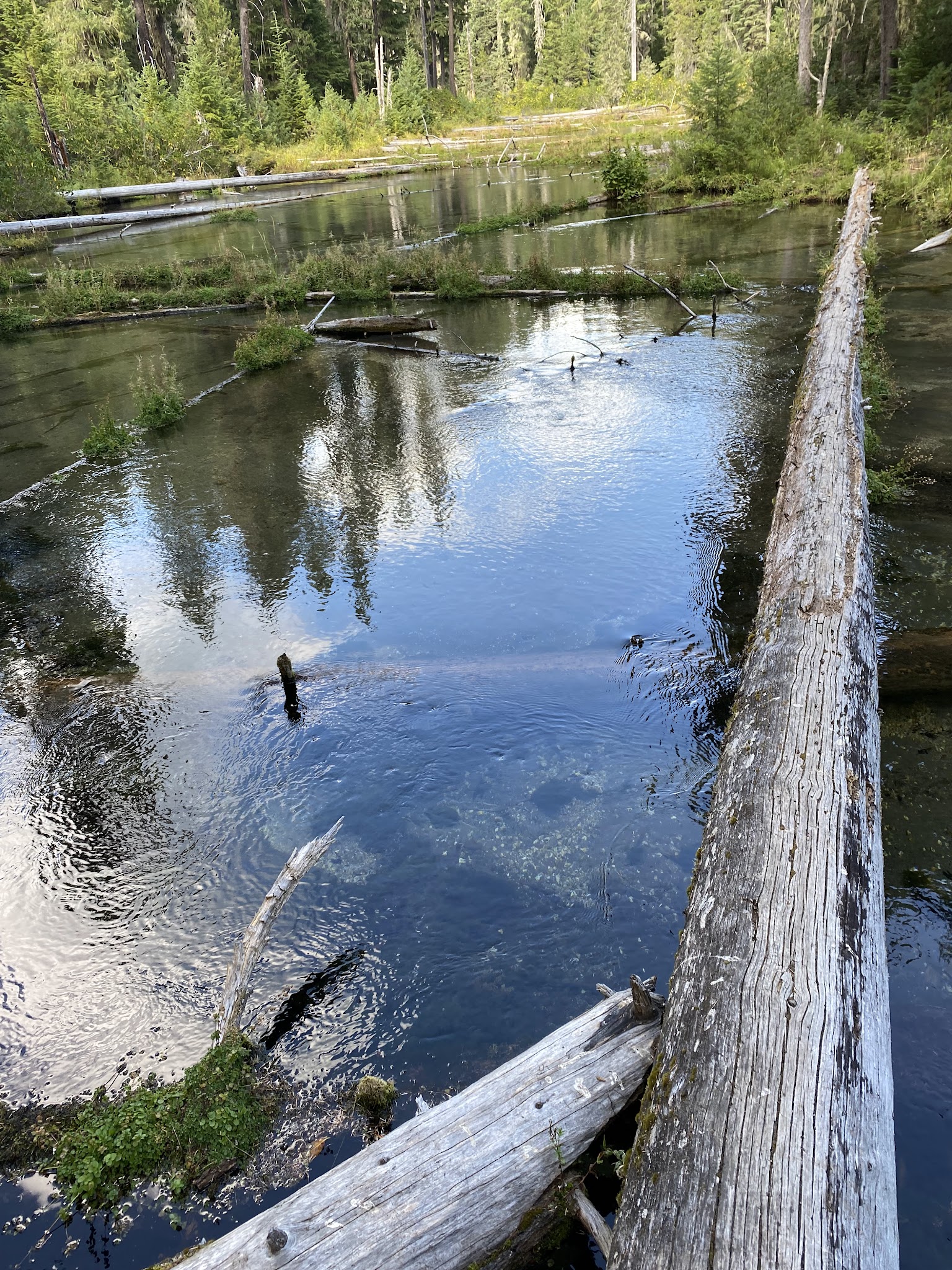 Clearwater Falls Campground