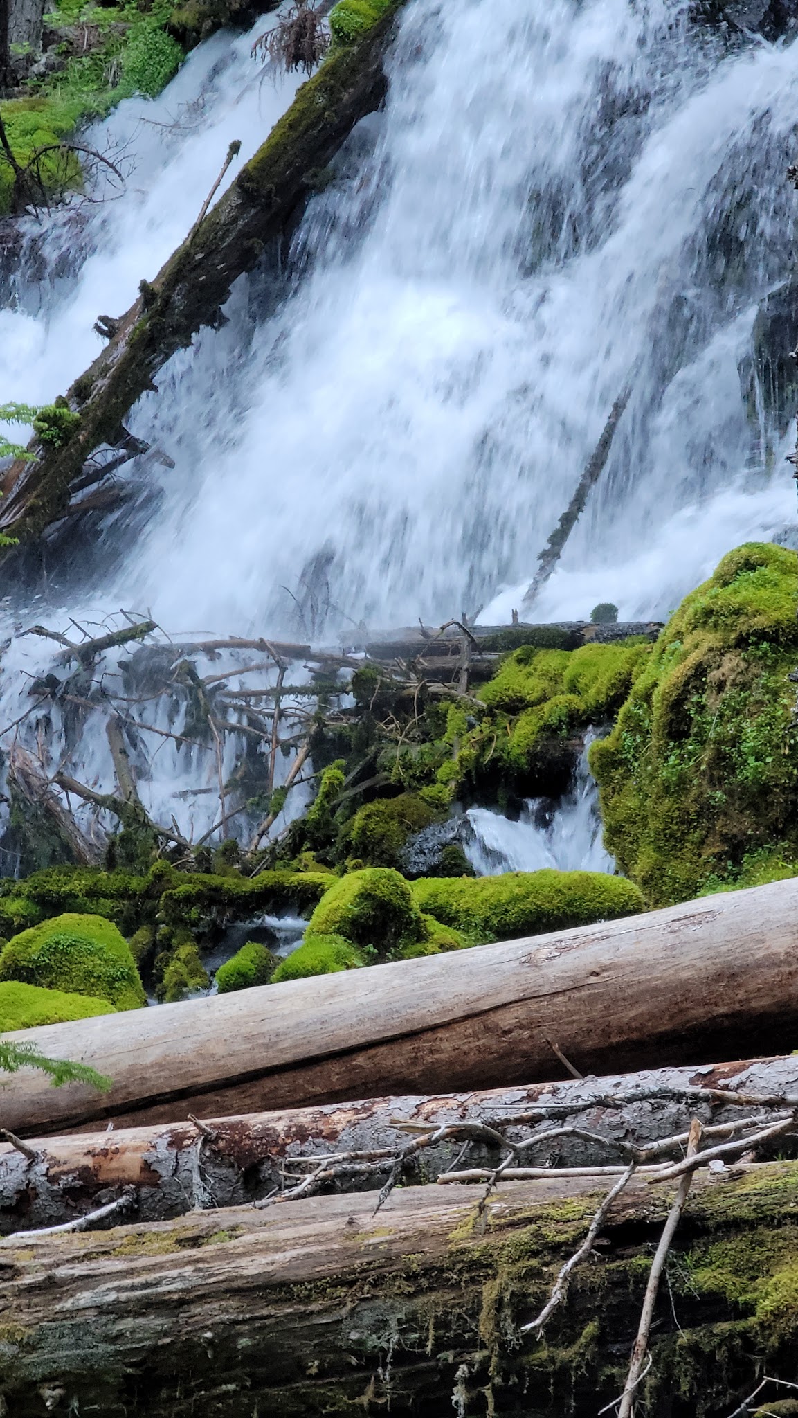 Clearwater Falls Campground