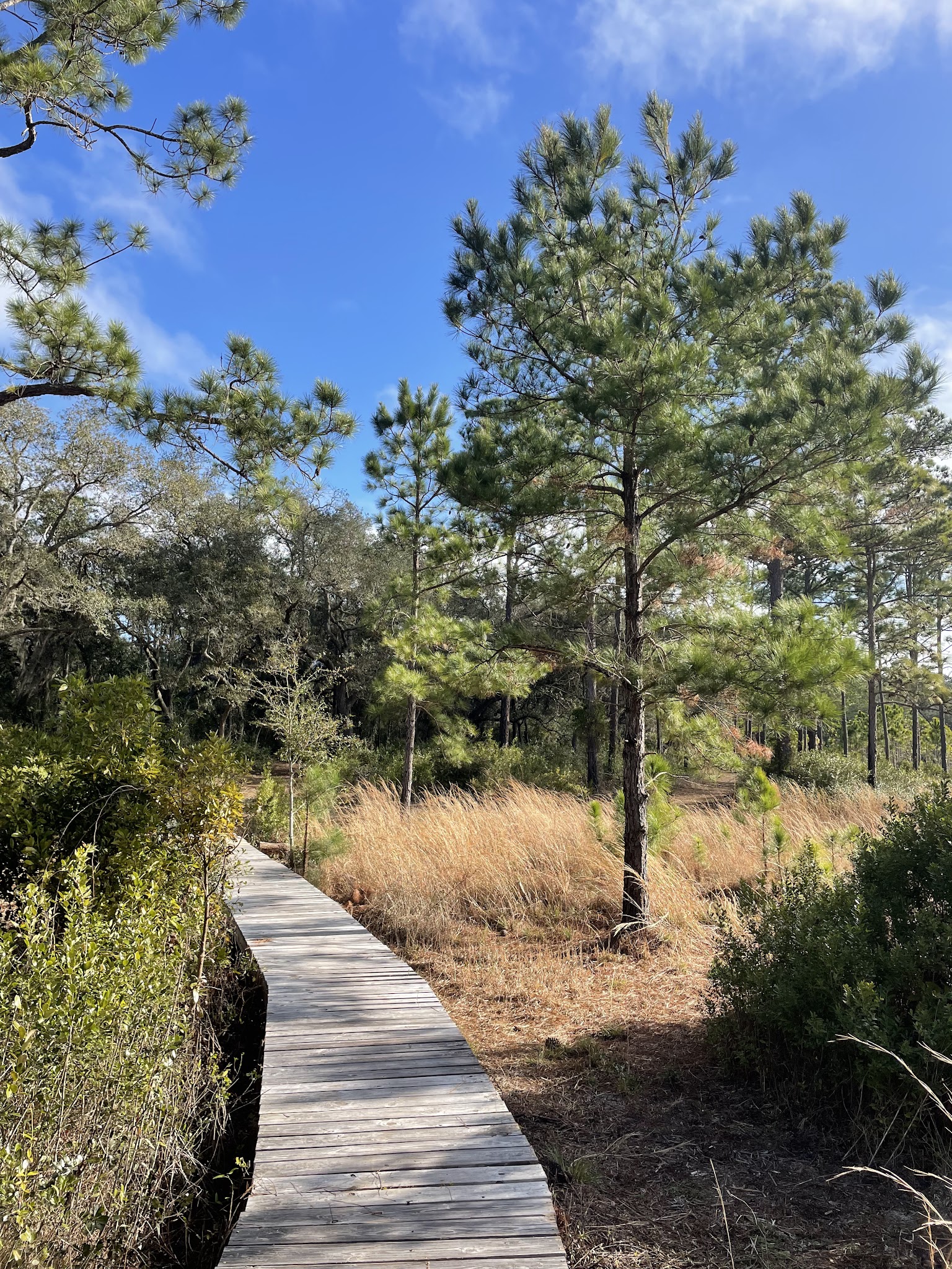 Clearwater Lake Rec Area