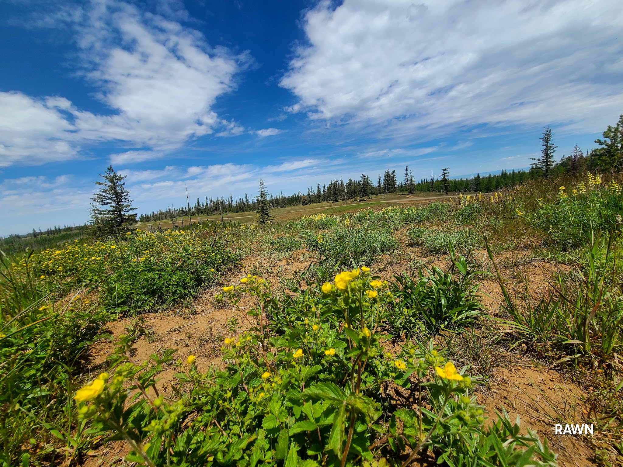 Clearwater Lookout Cabin
