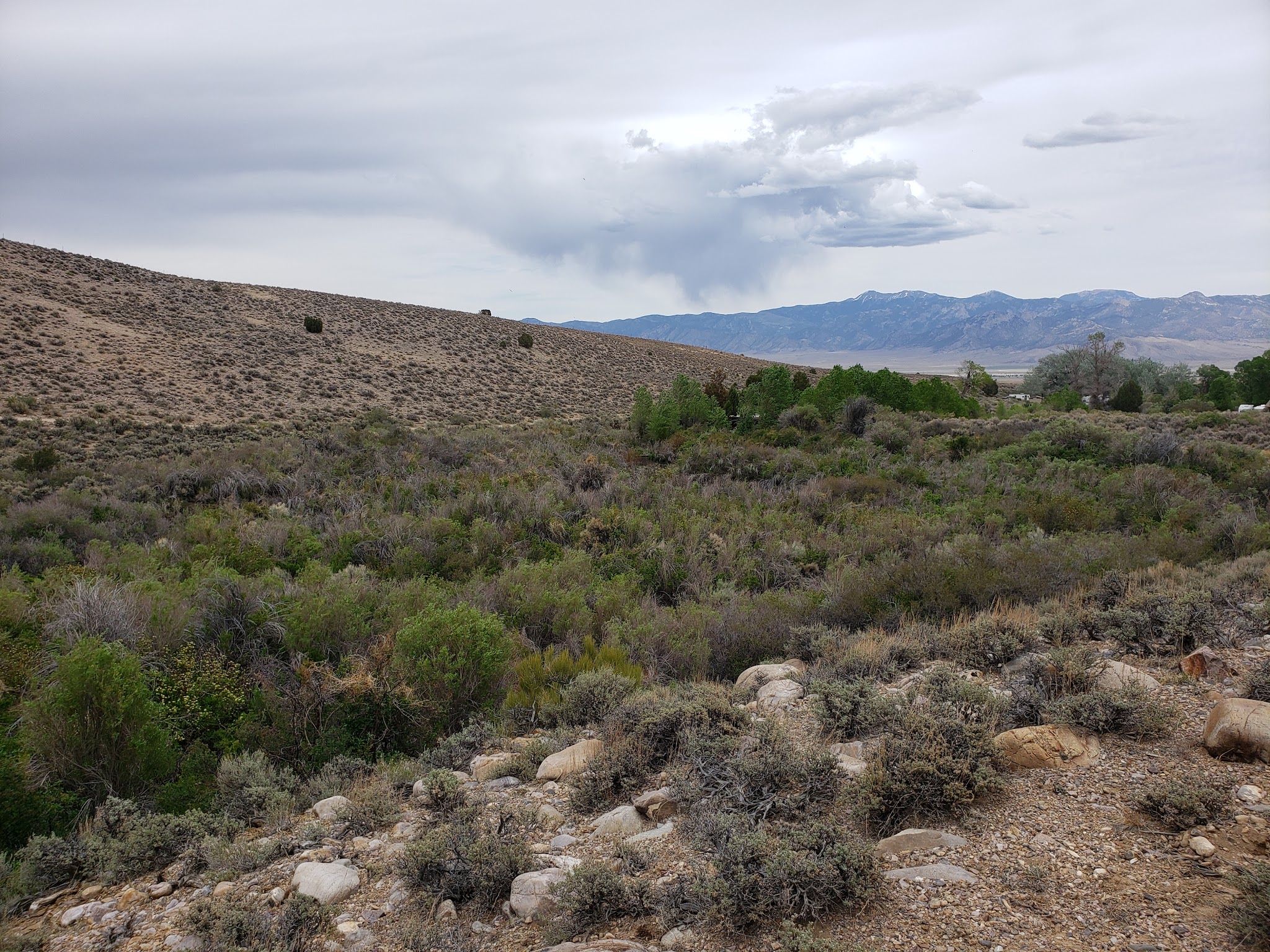 Cleve Creek Campground