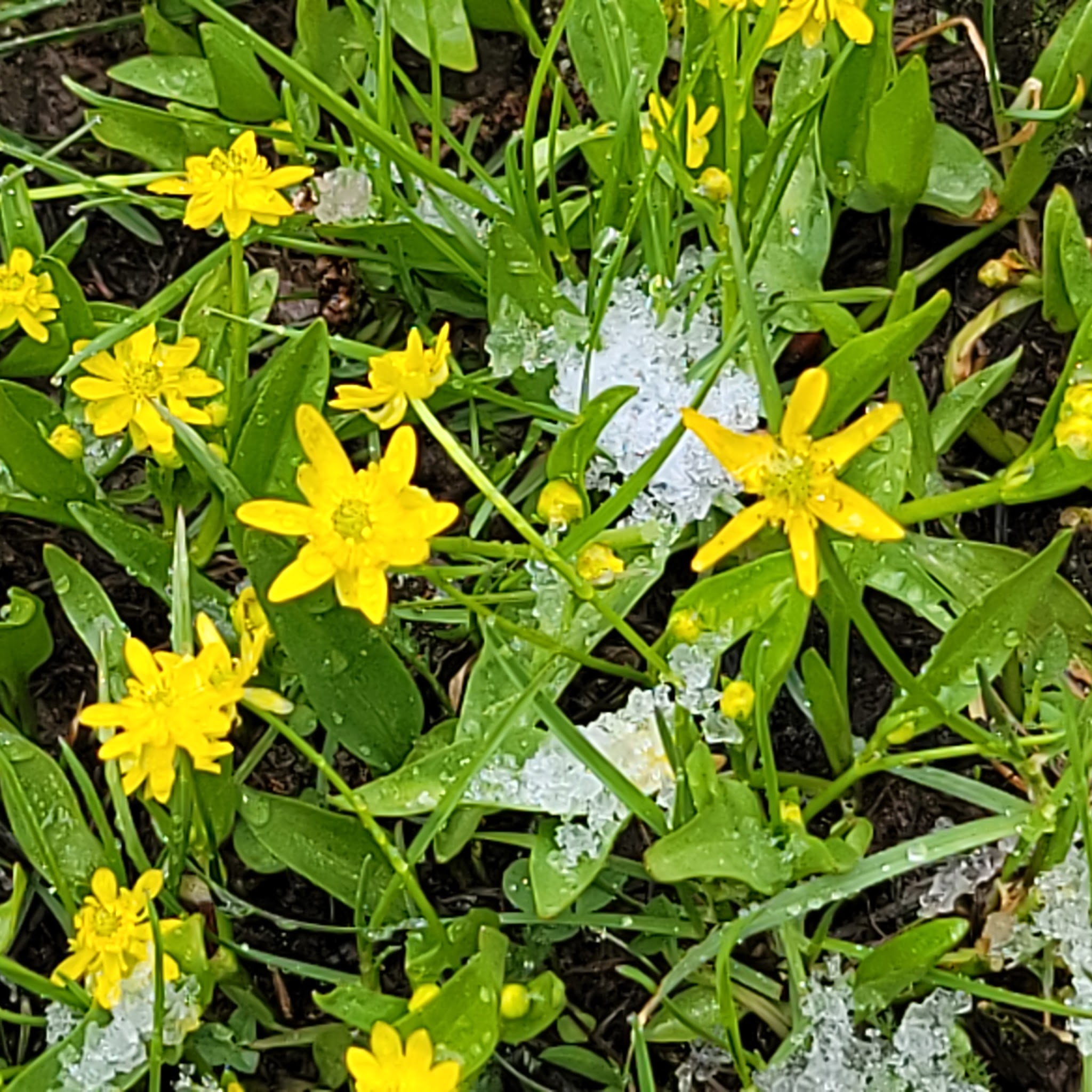 Cleveland Reservoir Campground