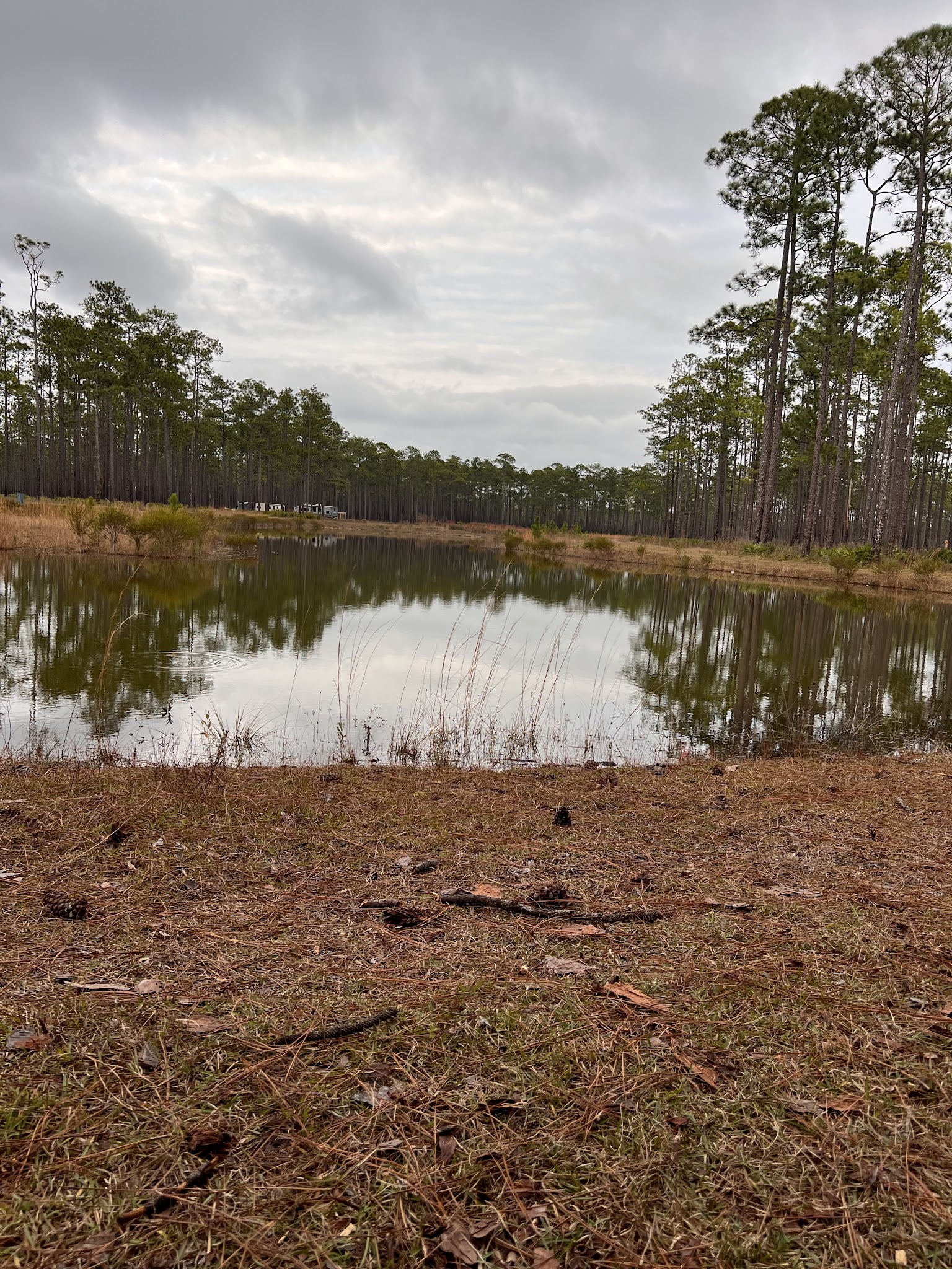 Cliff Lake Hunt Camp