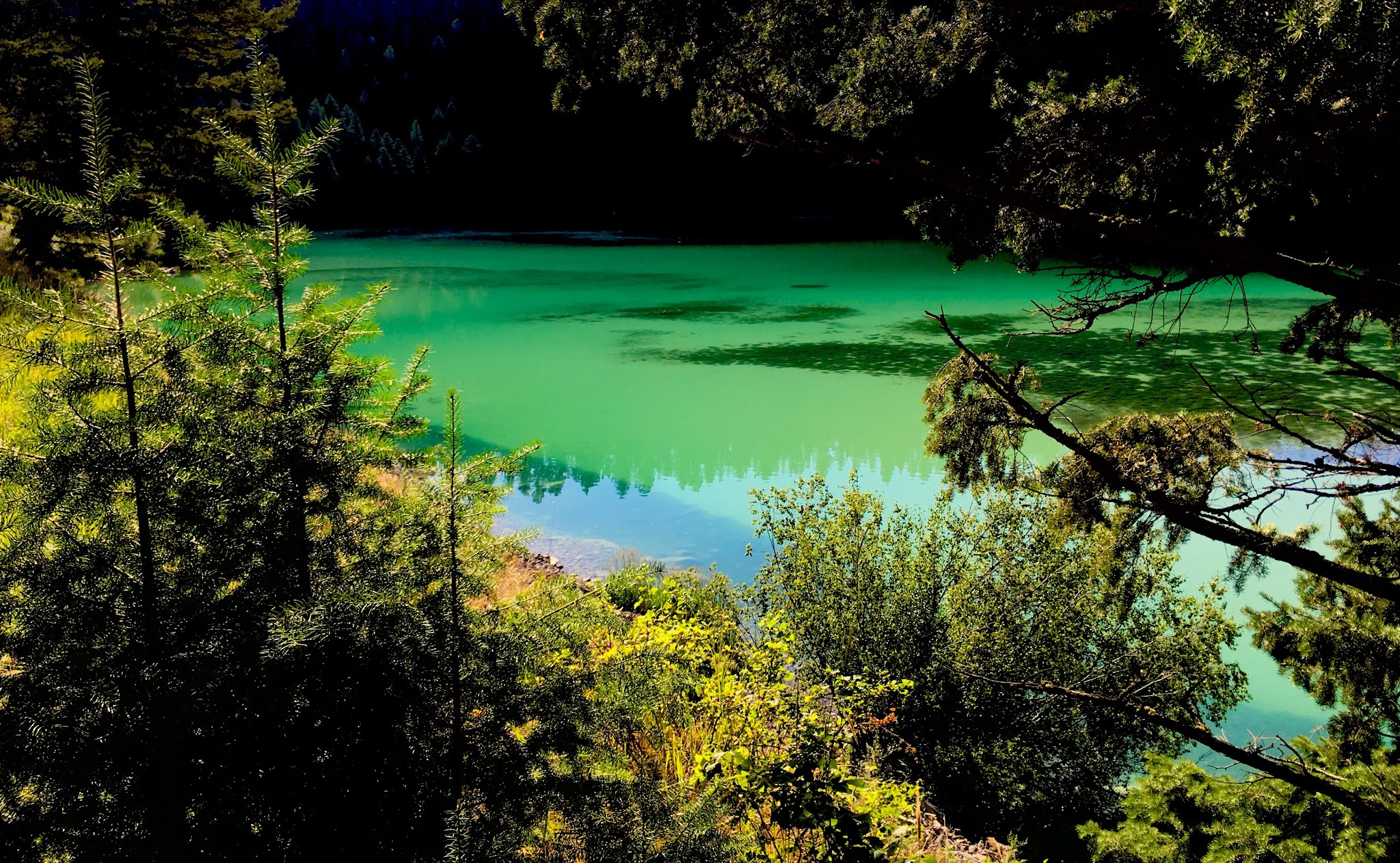 Cliff Point Campground