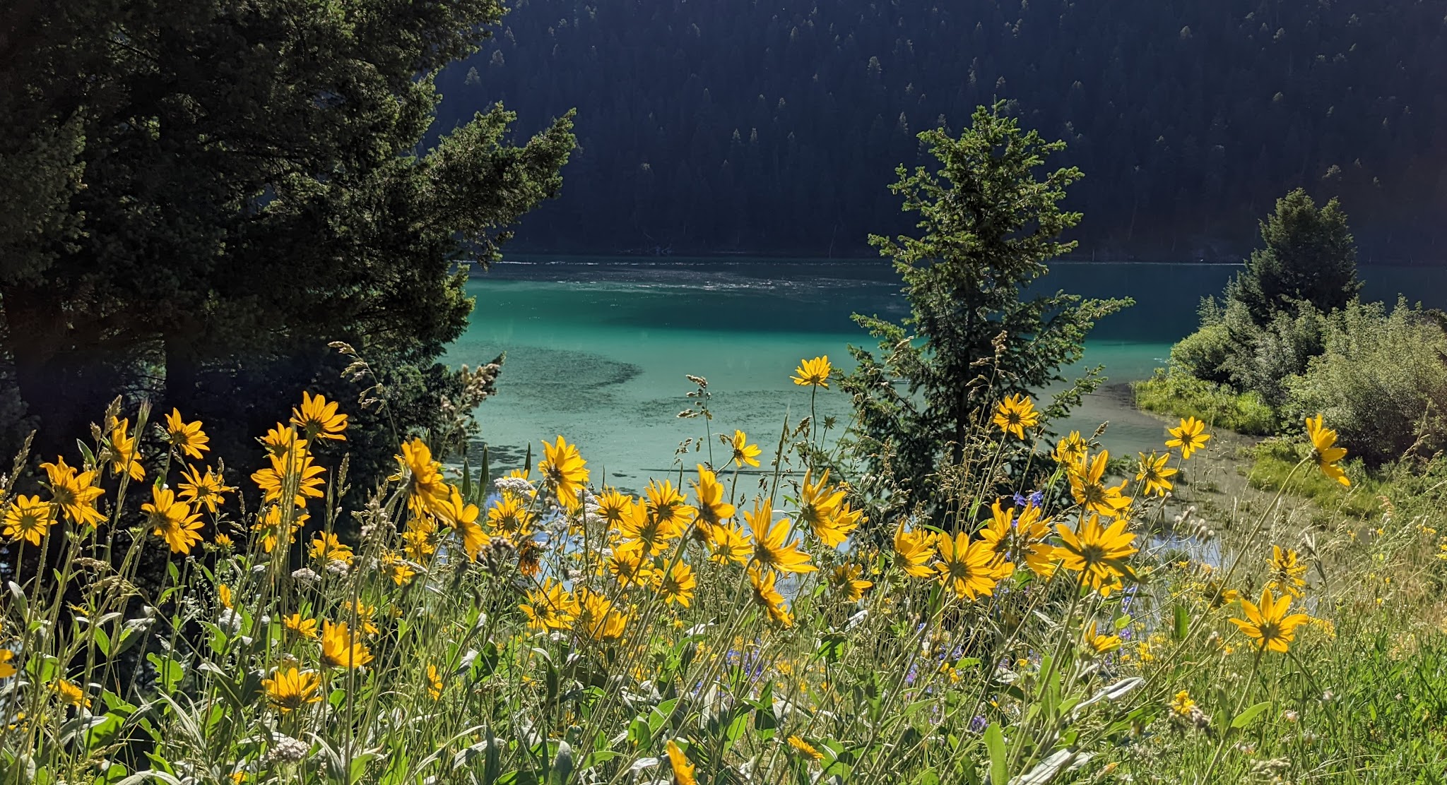 Cliff Point Campground