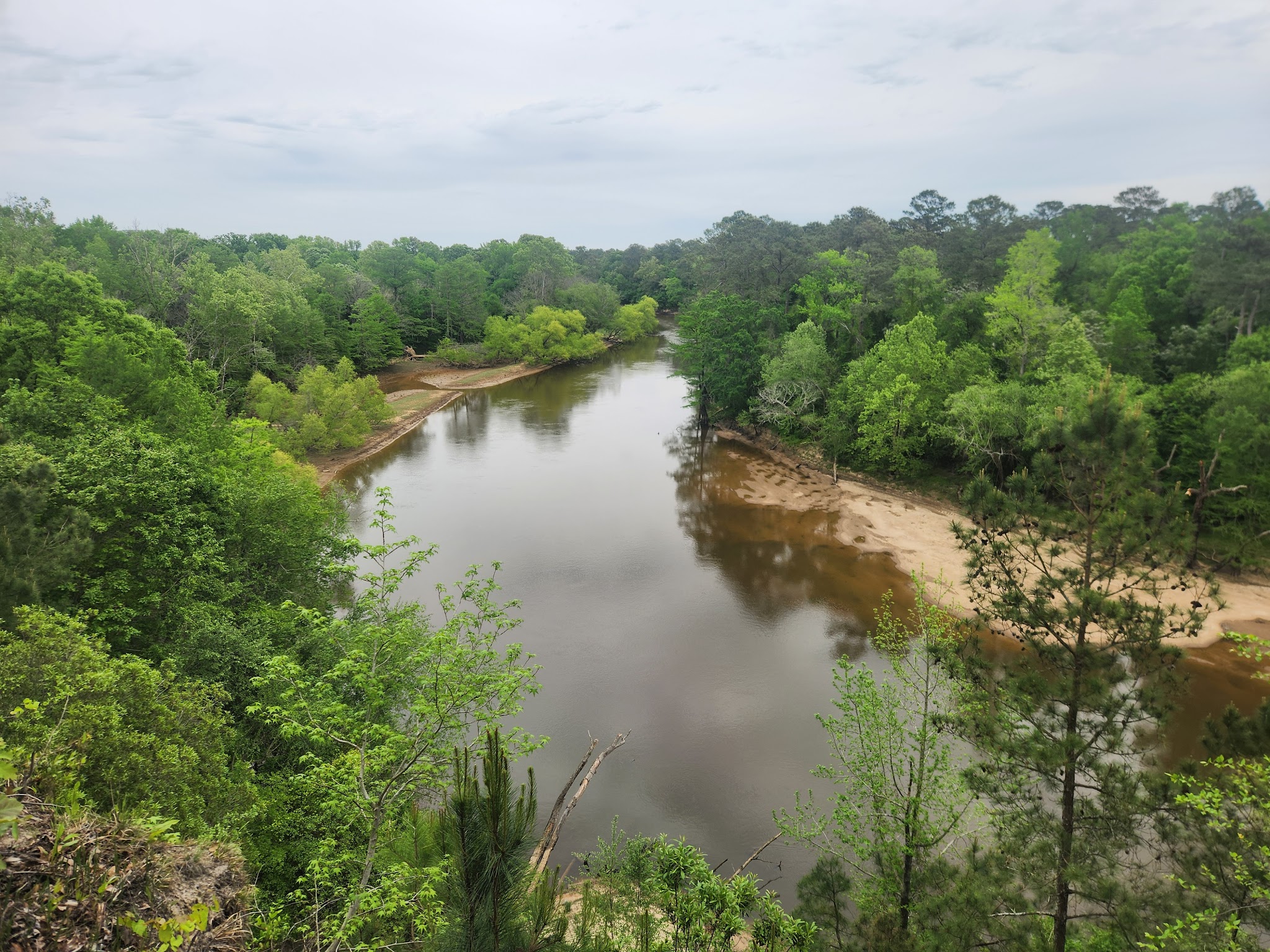 Cliffs Of The Neuse State Park