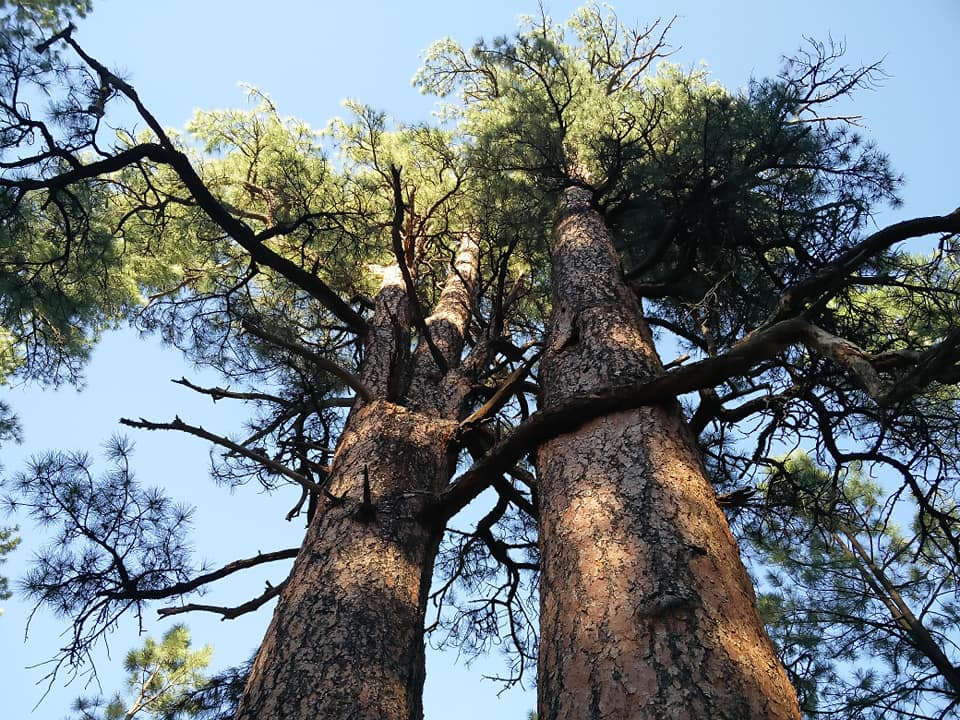 Clints Well Campground