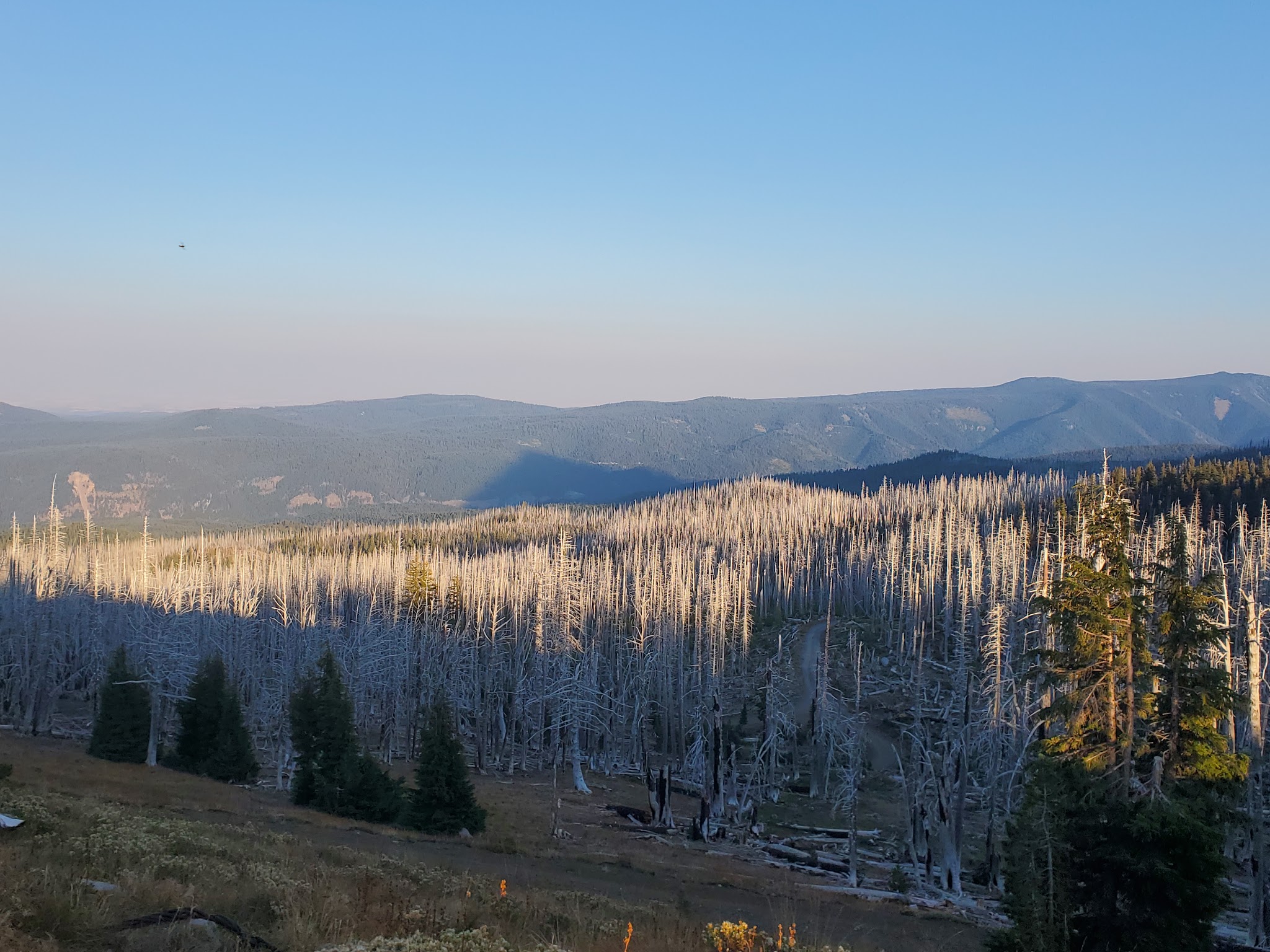 Cloud Cap Saddle Campground/Day Use