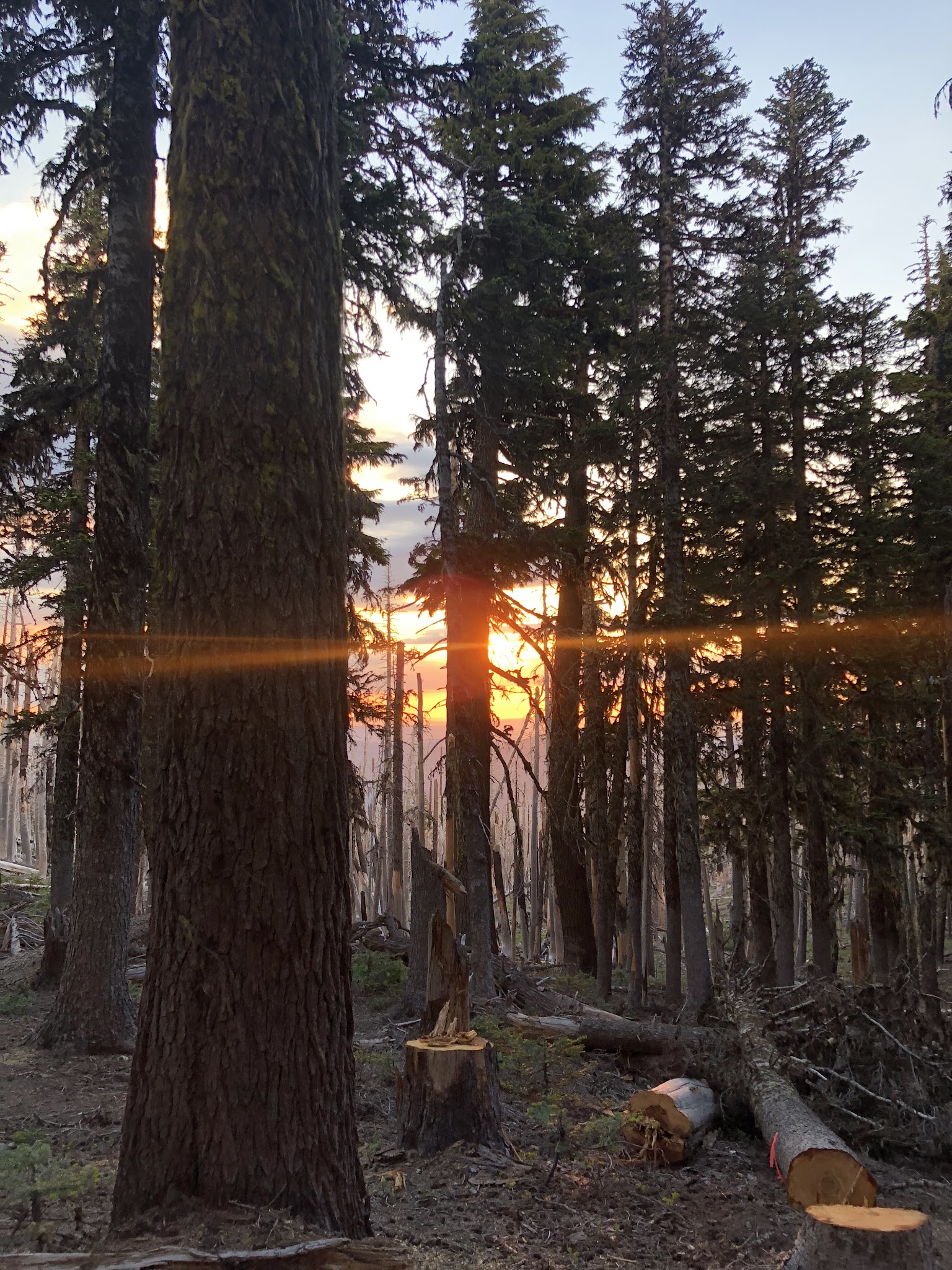 Cloud Cap Saddle Campground/Day Use