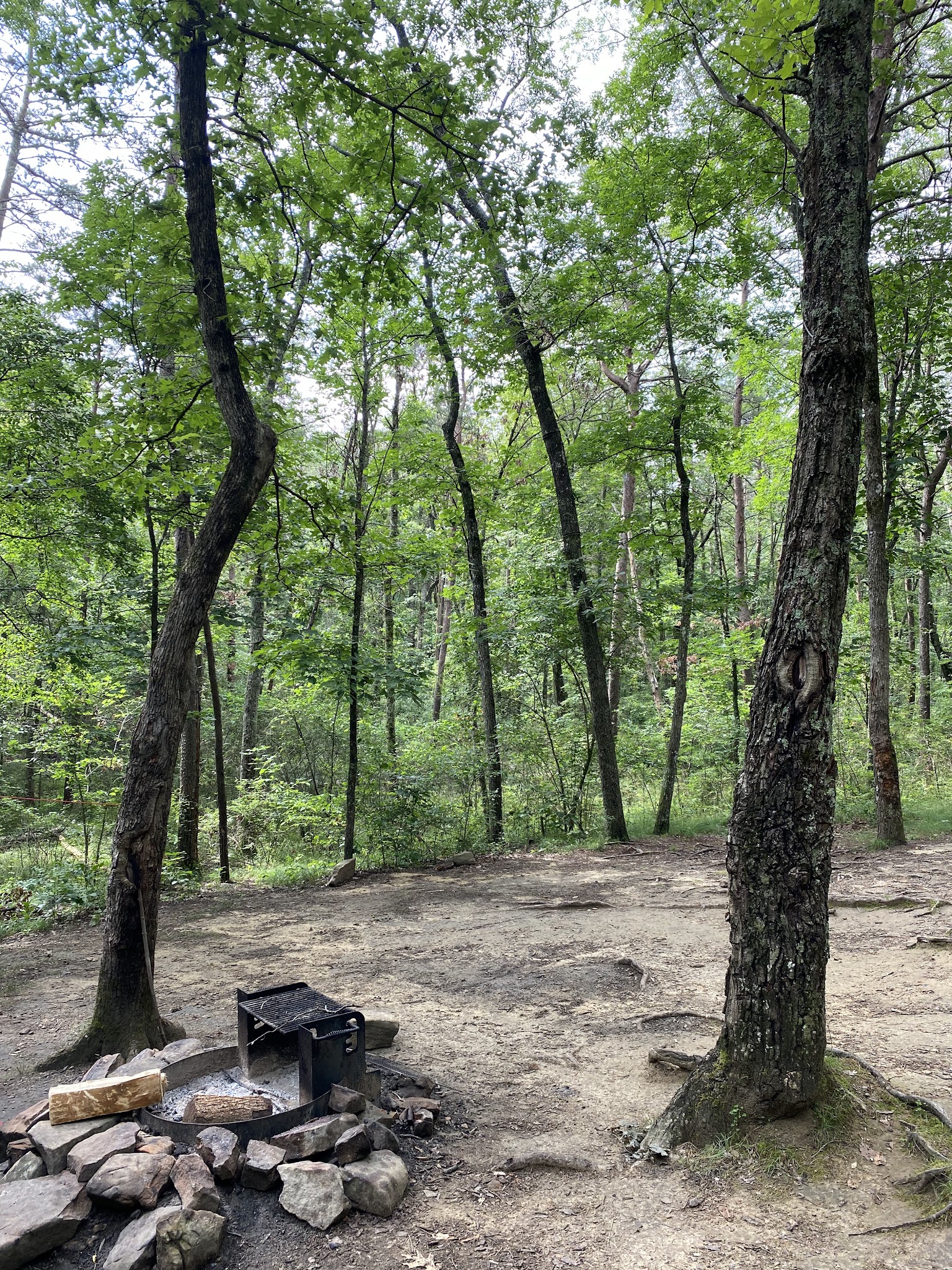 Cloudland Canyon State Park