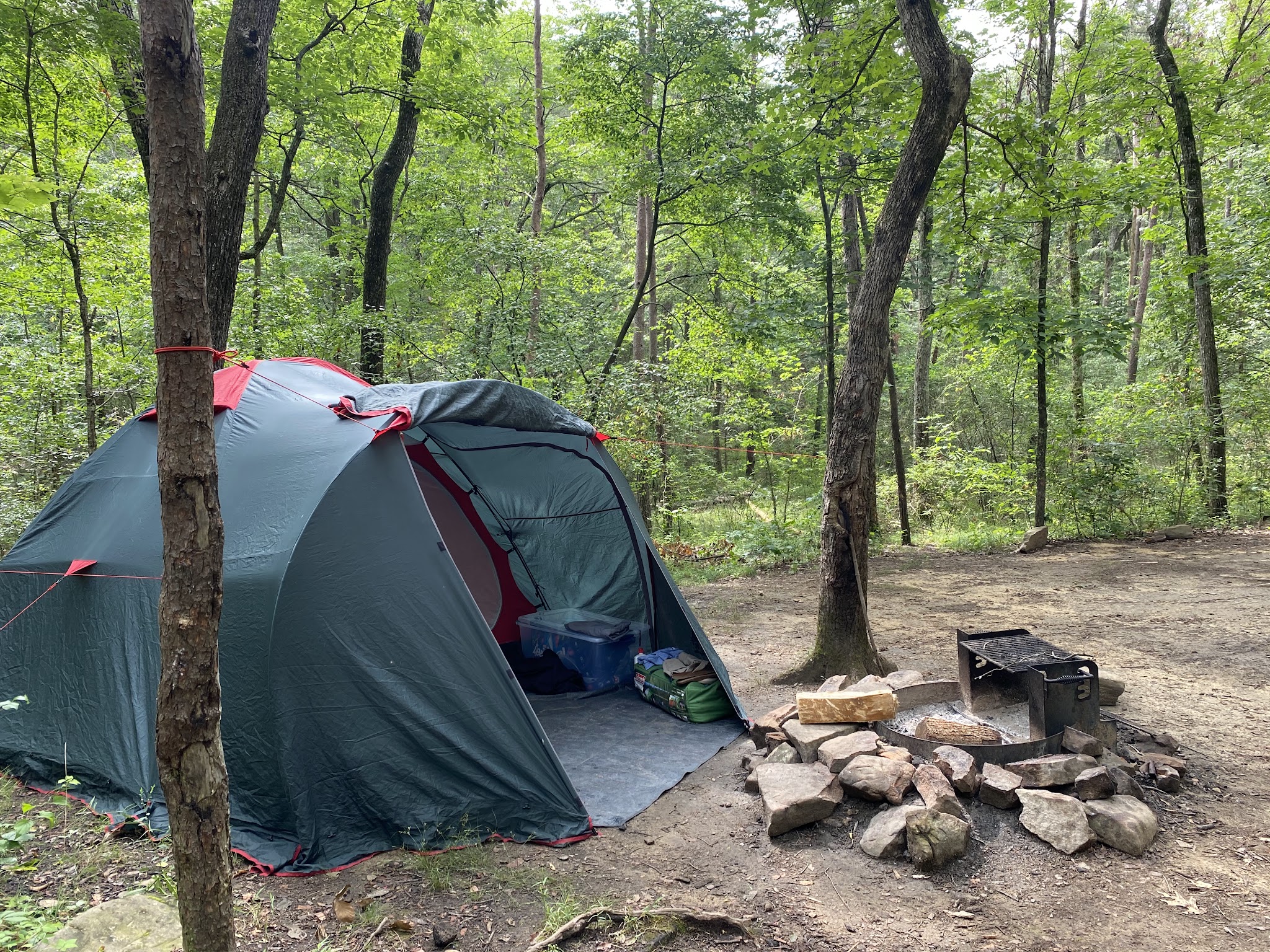 Cloudland Canyon State Park