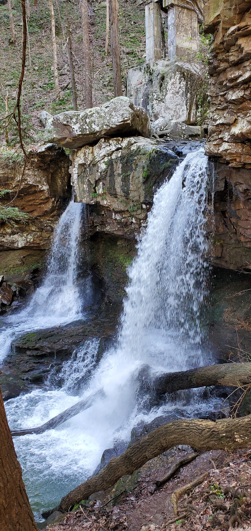 Cloudland Canyon State Park