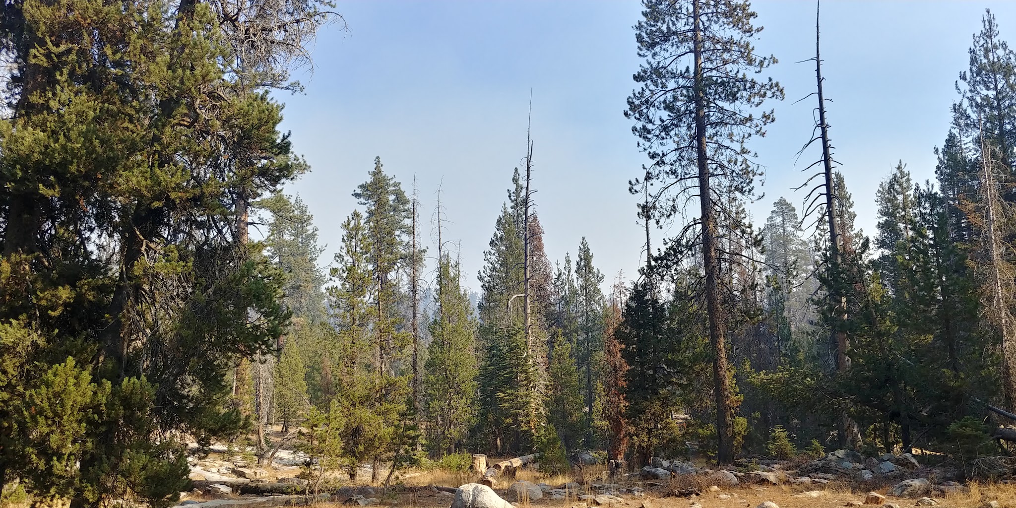 Clover Meadow Campground