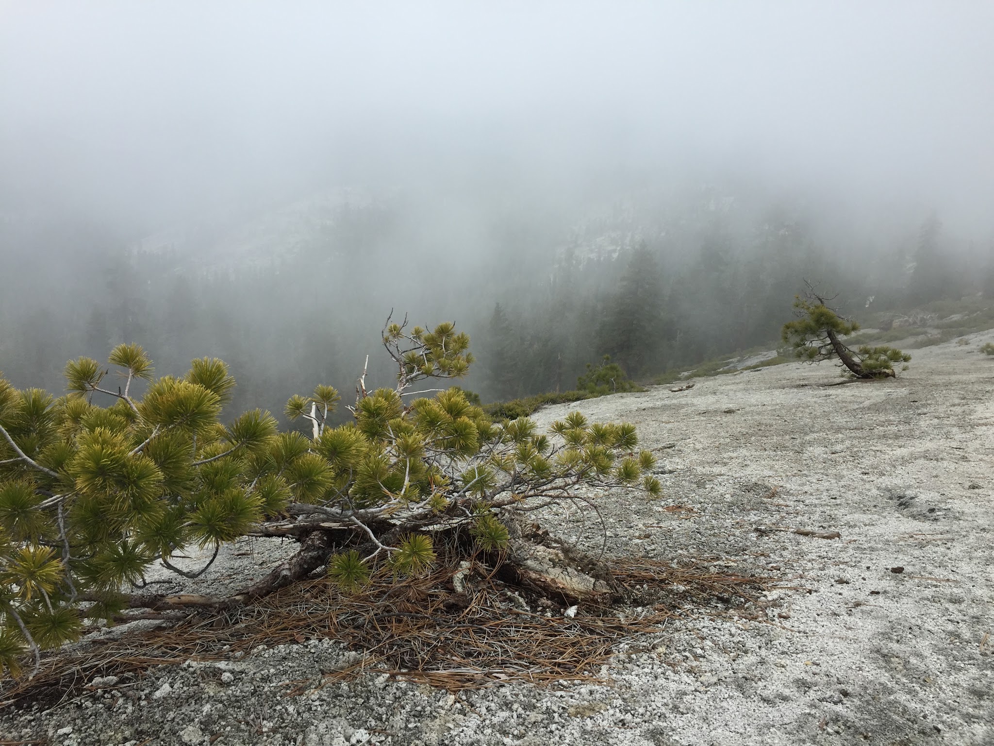 Clover Meadow Campground