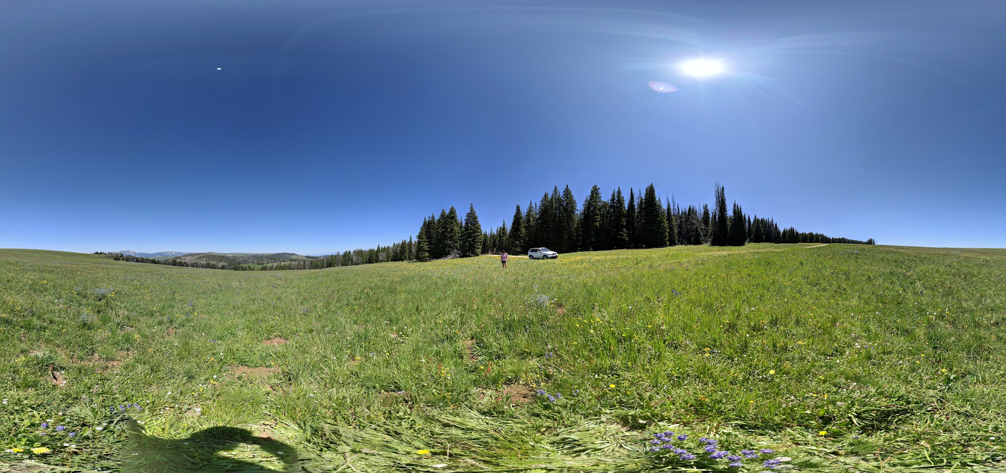 Clover Meadows Dispersed Camping And Picnic Area