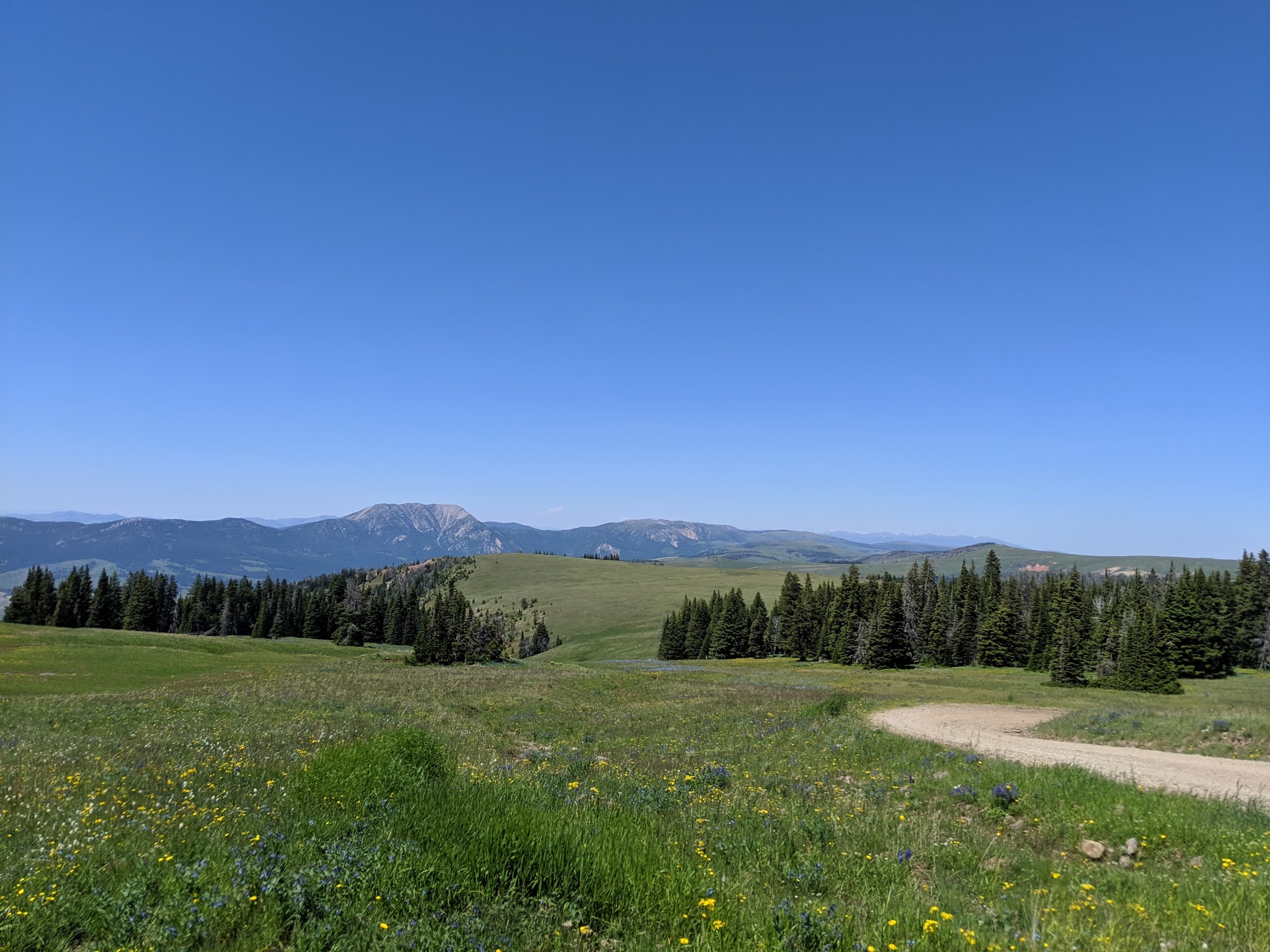 Clover Meadows Dispersed Camping And Picnic Area