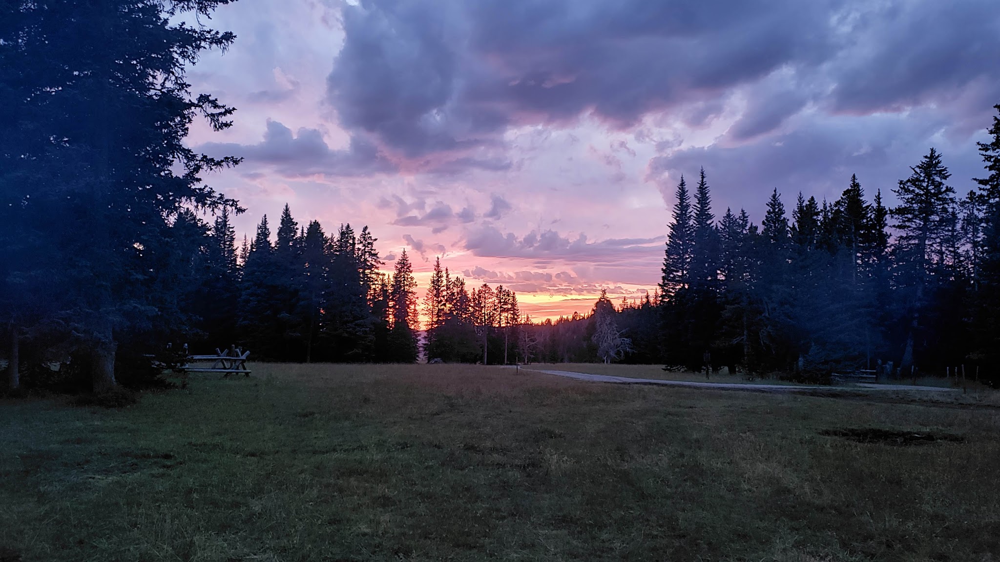 Clover Meadows Dispersed Camping And Picnic Area