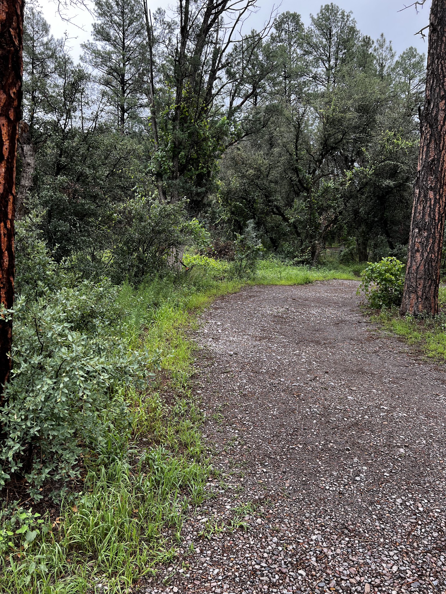 Coal Creek Campground