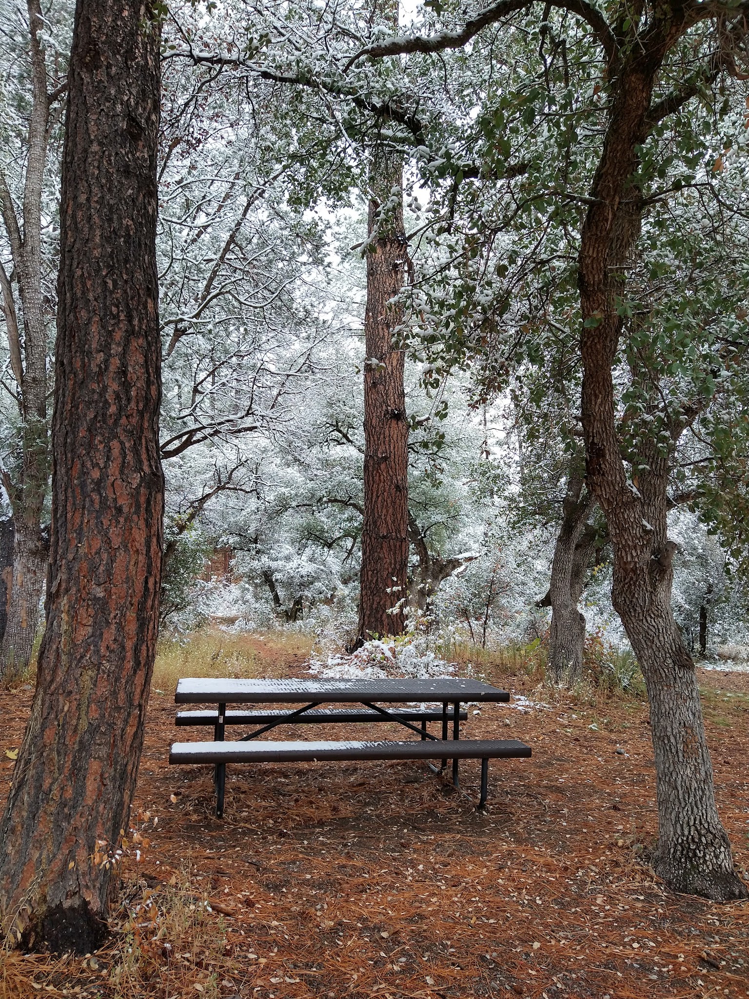 Coal Creek Campground