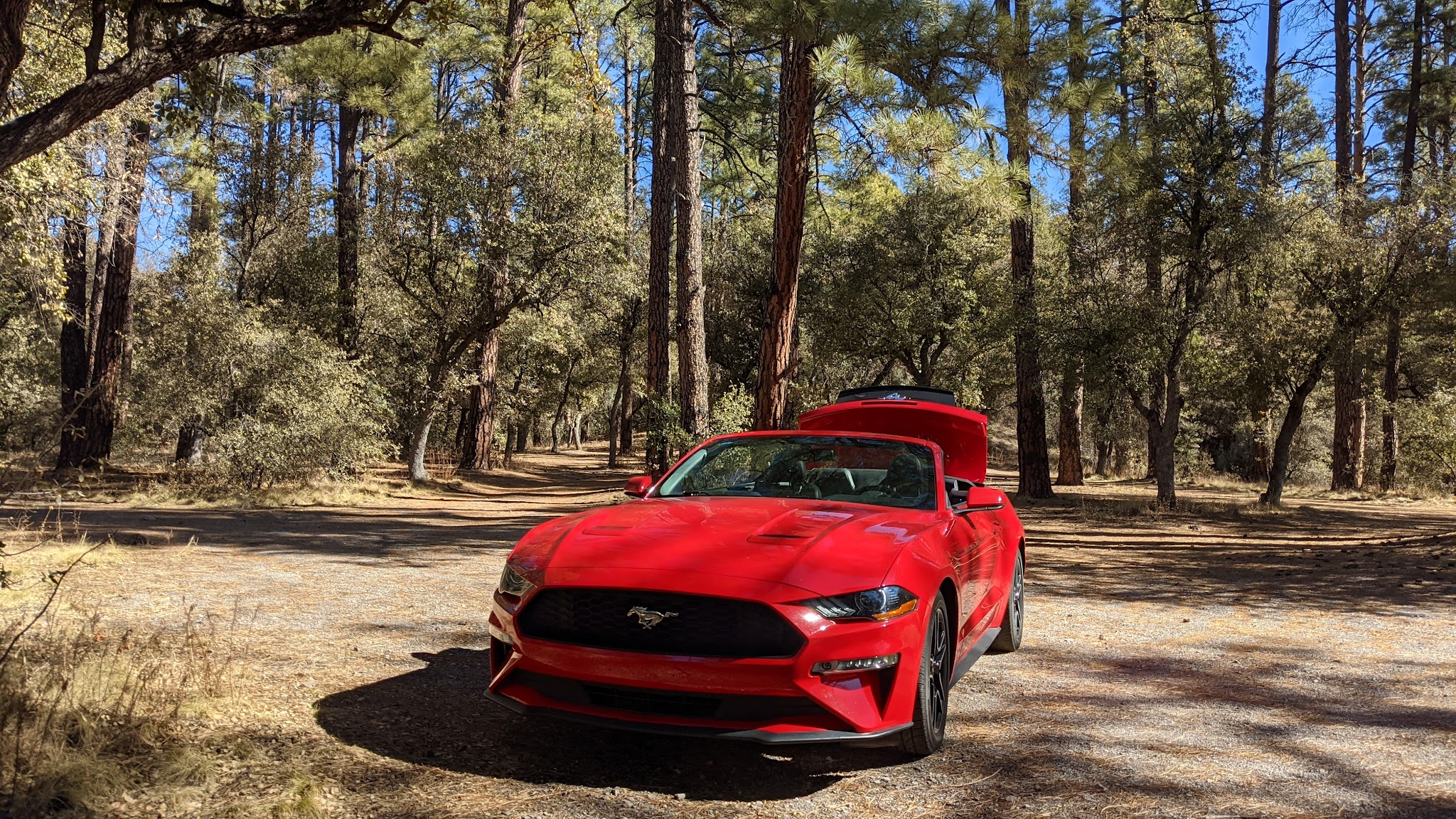 Coal Creek Campground