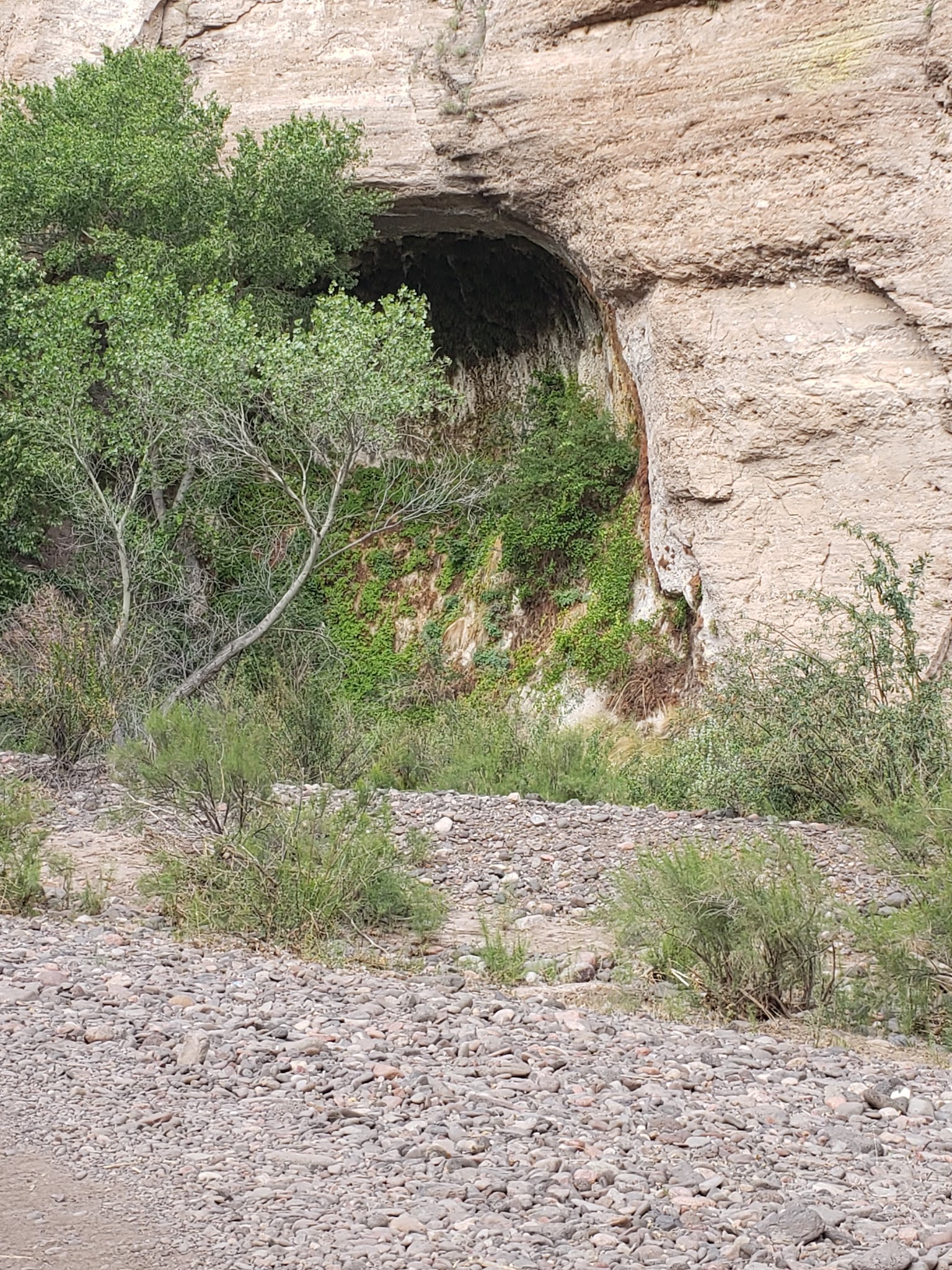 Coal Creek Campground