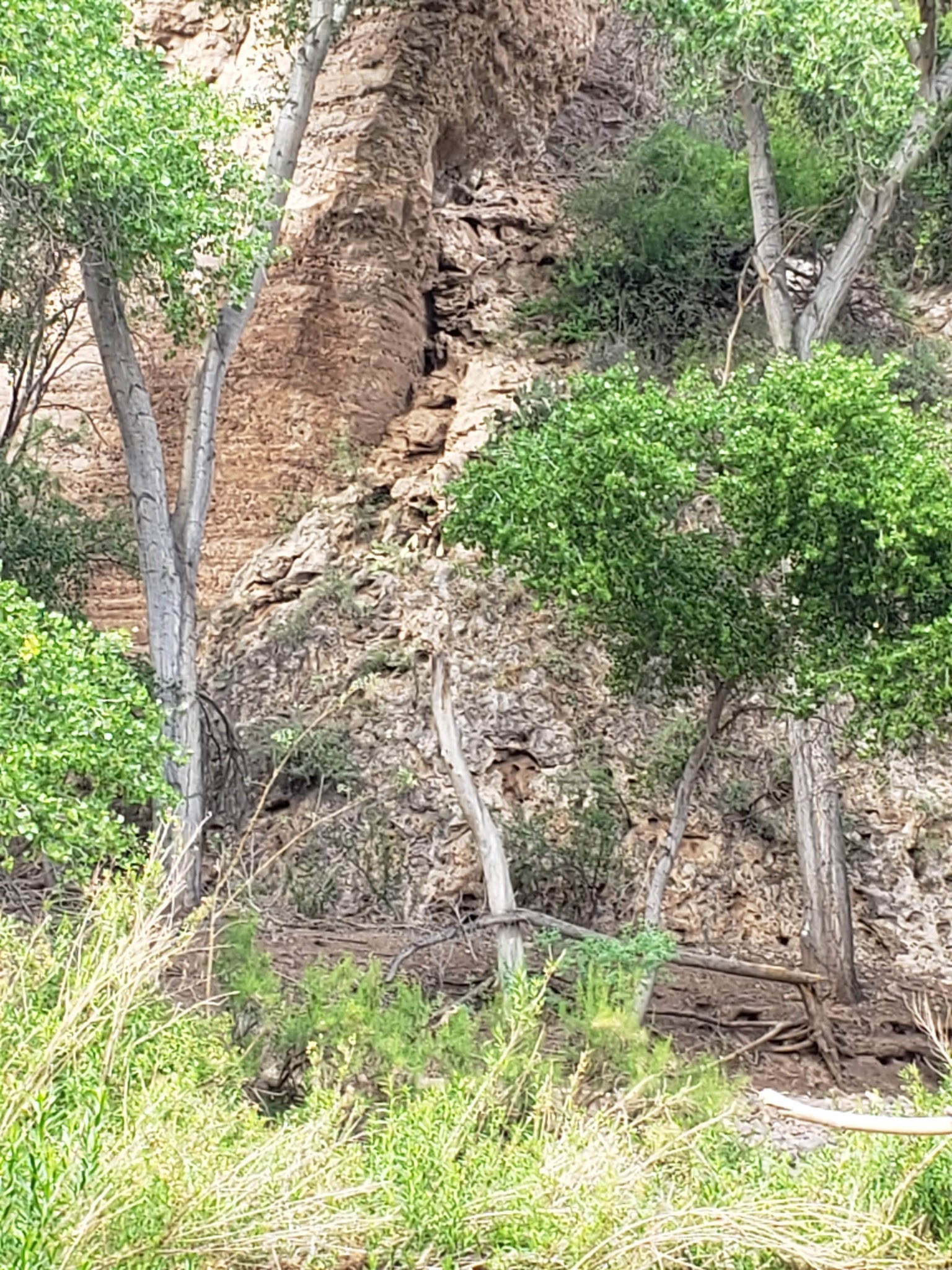 Coal Creek Campground