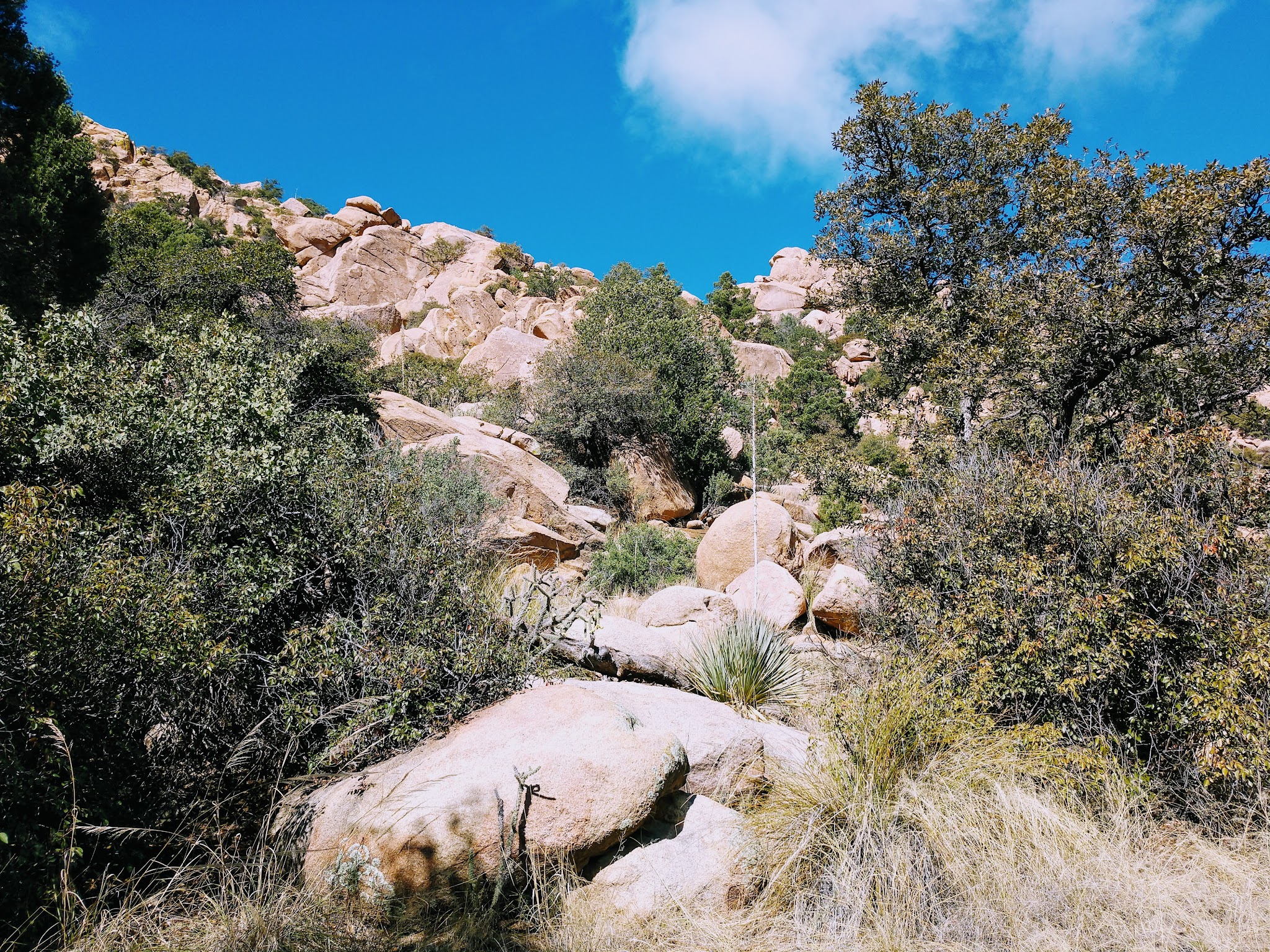 Cochise Stronghold Campground