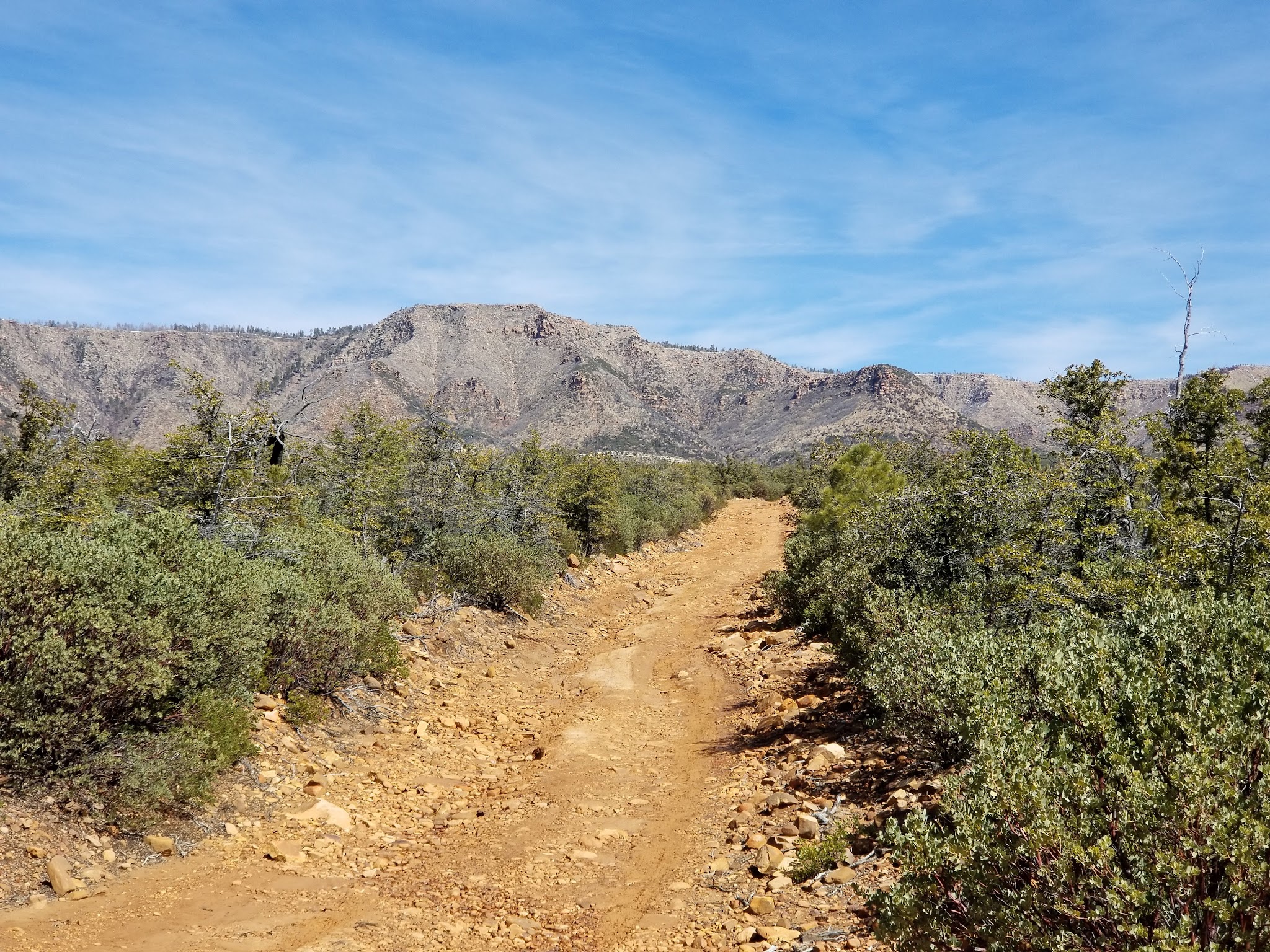 Colcord Ridge Campground