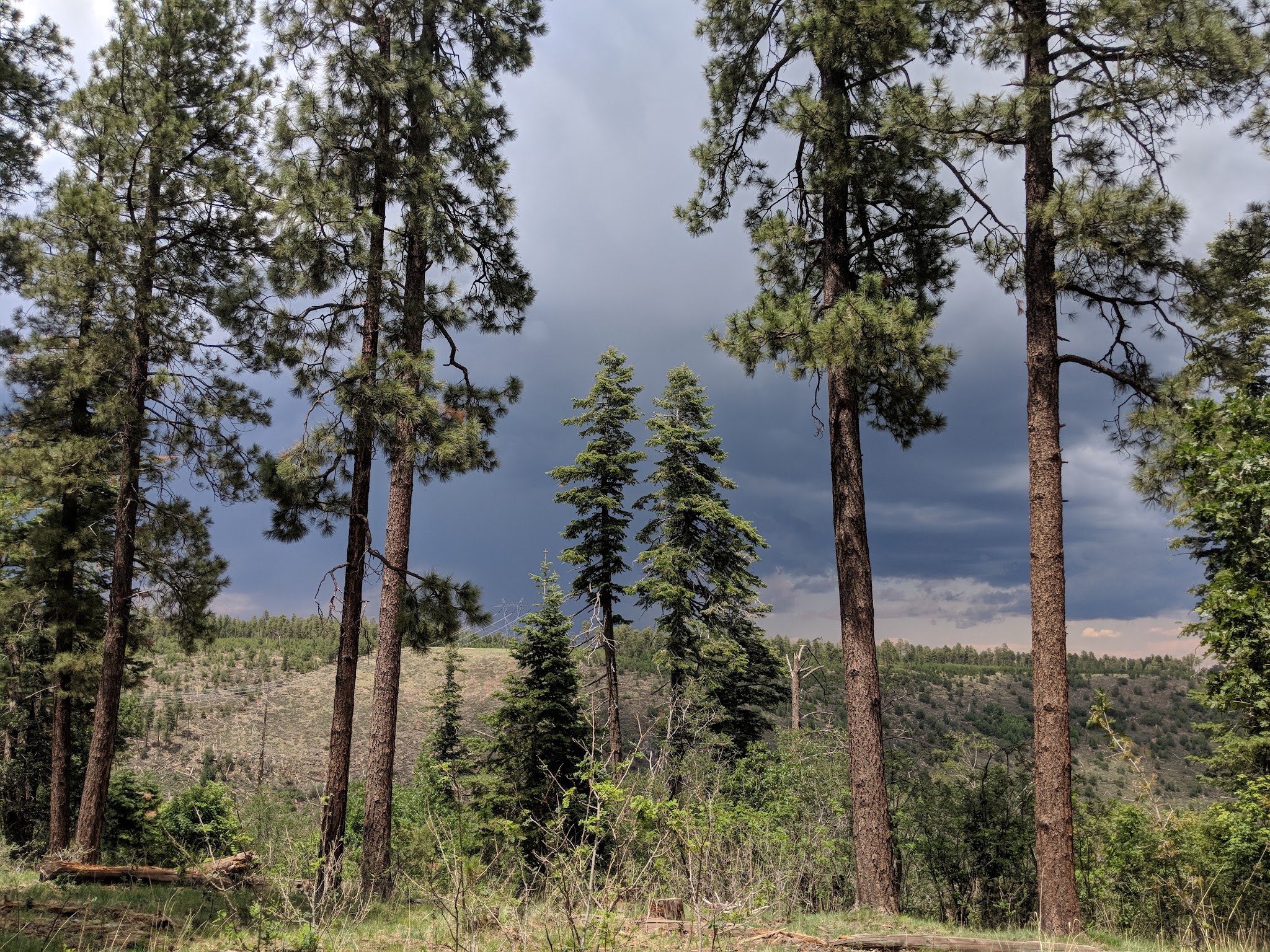 Colcord Ridge Campground