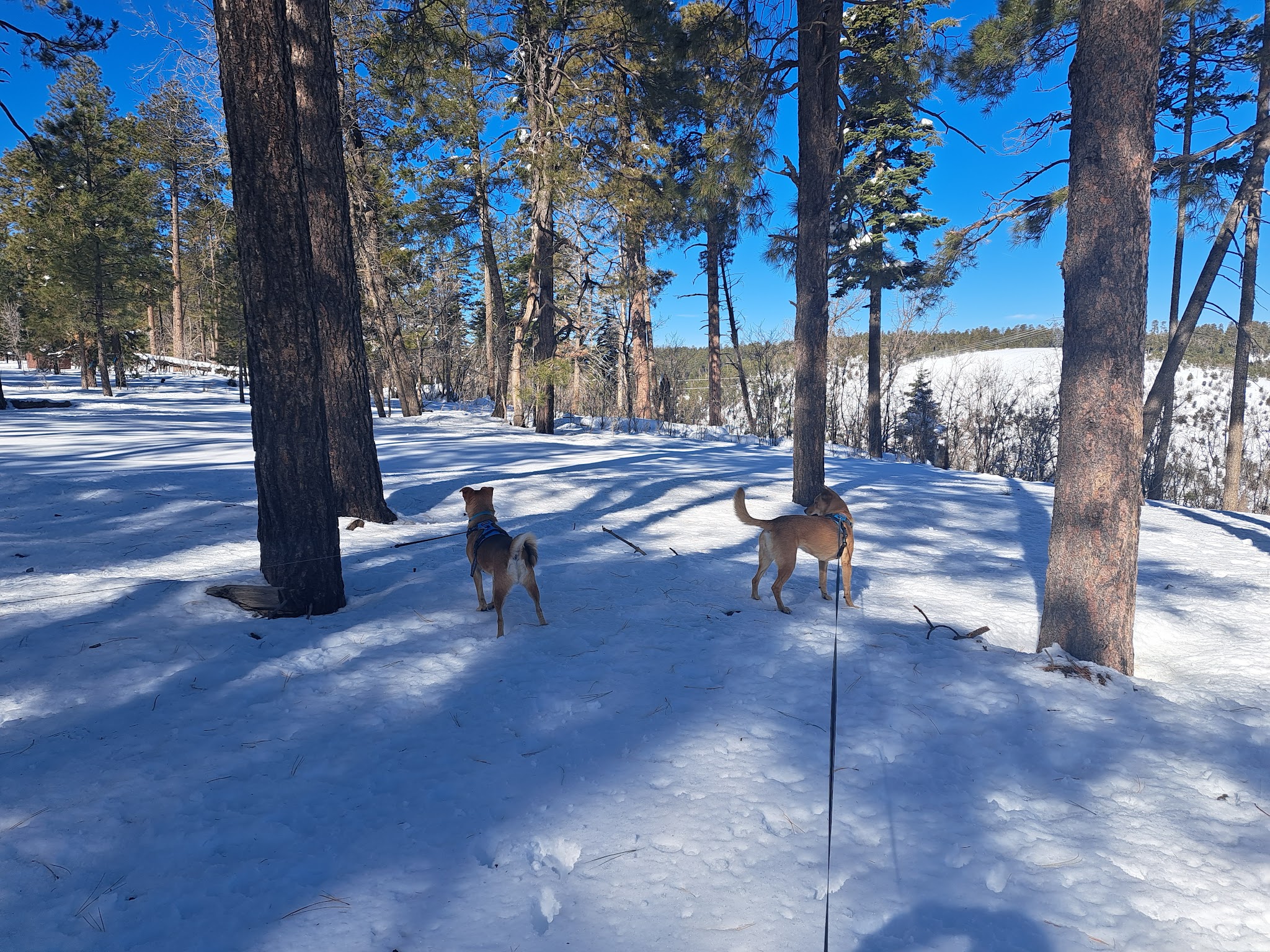 Colcord Ridge Campground