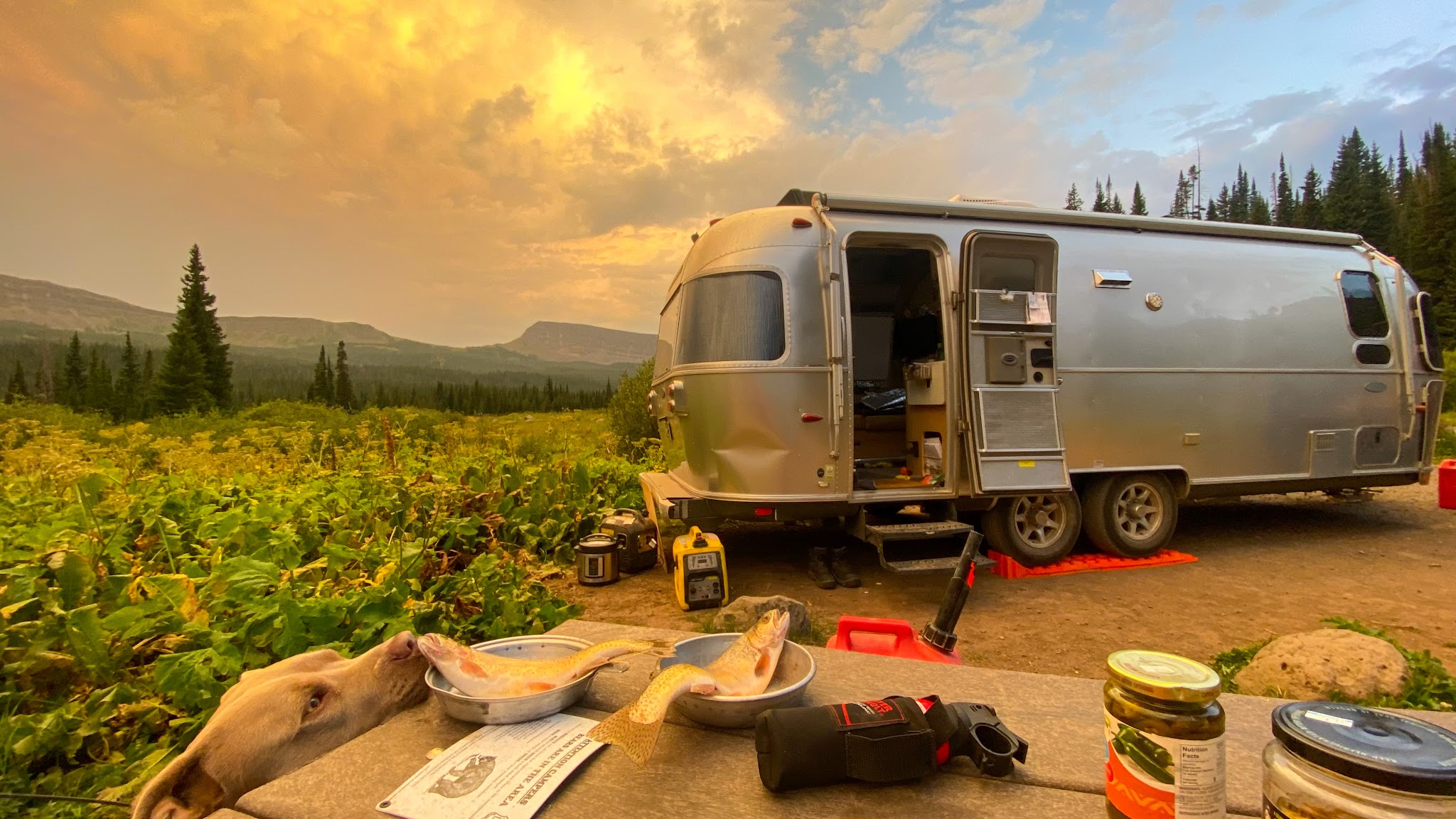 Cold Springs Campground