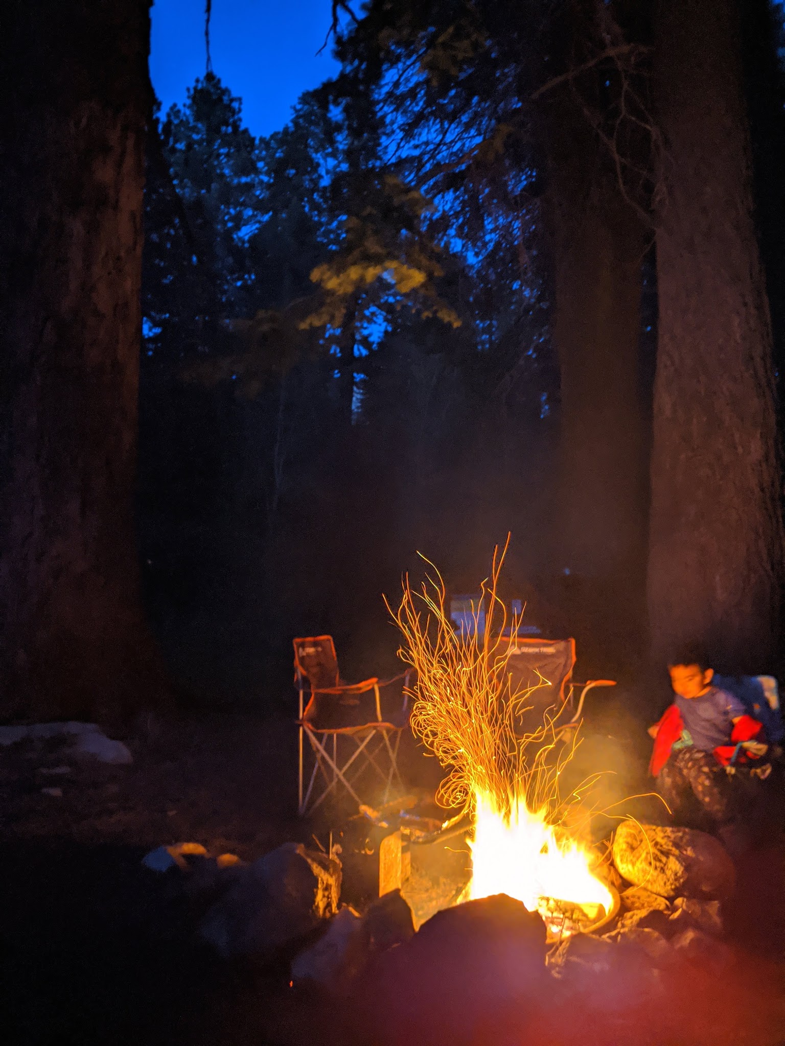 Cold Springs Campground (Ca)