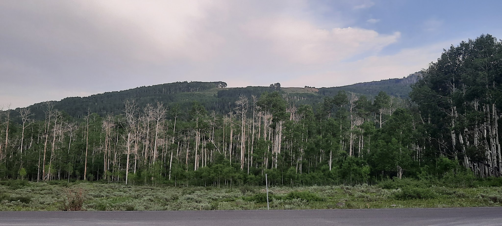 Harves River Cua Dispersed