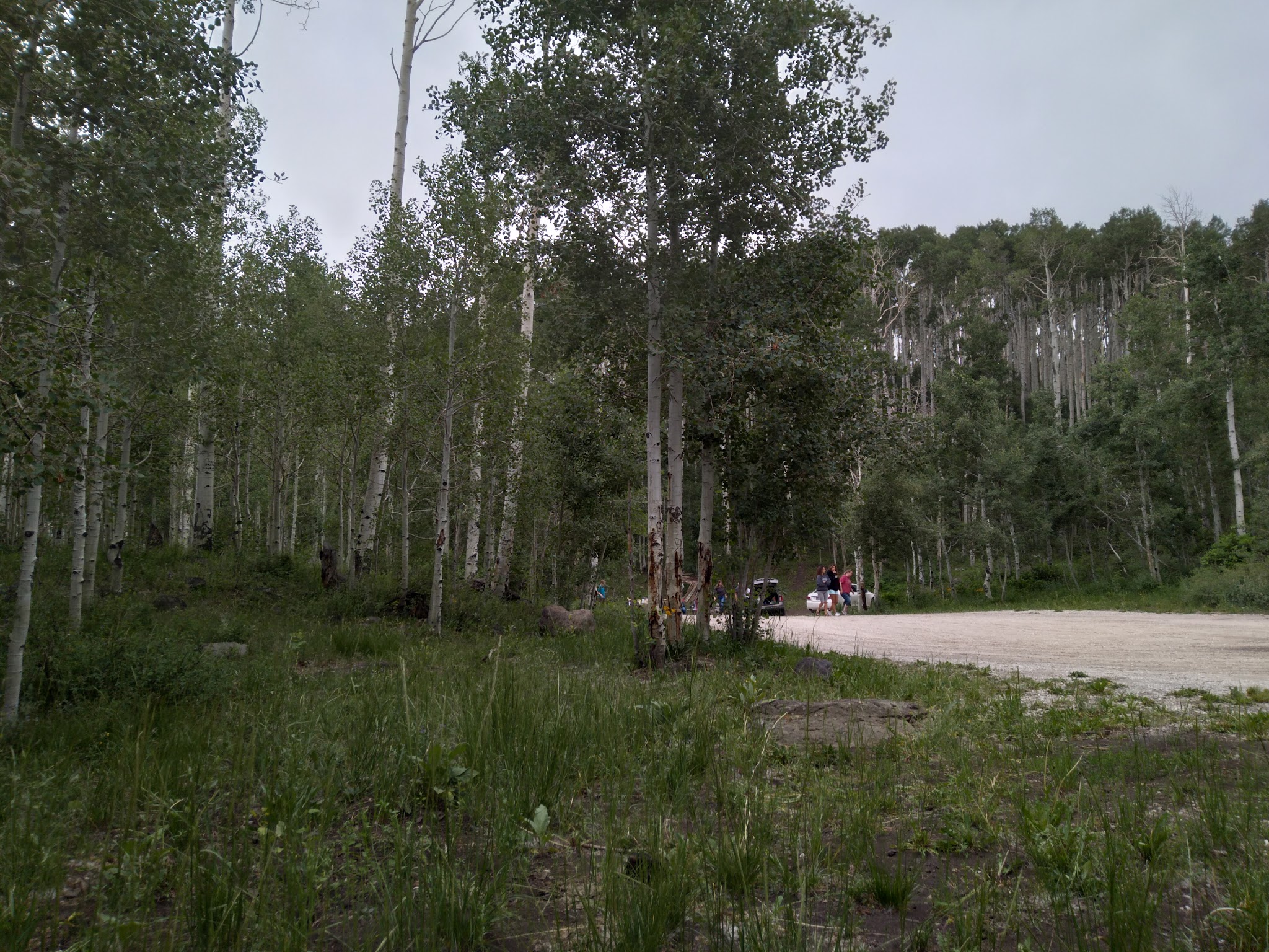 Harves River Cua Dispersed