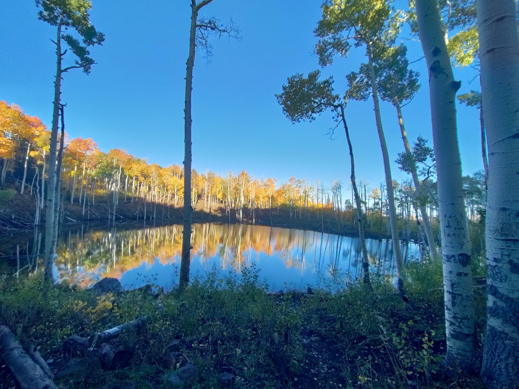 Cold Springs Cua Dispersed