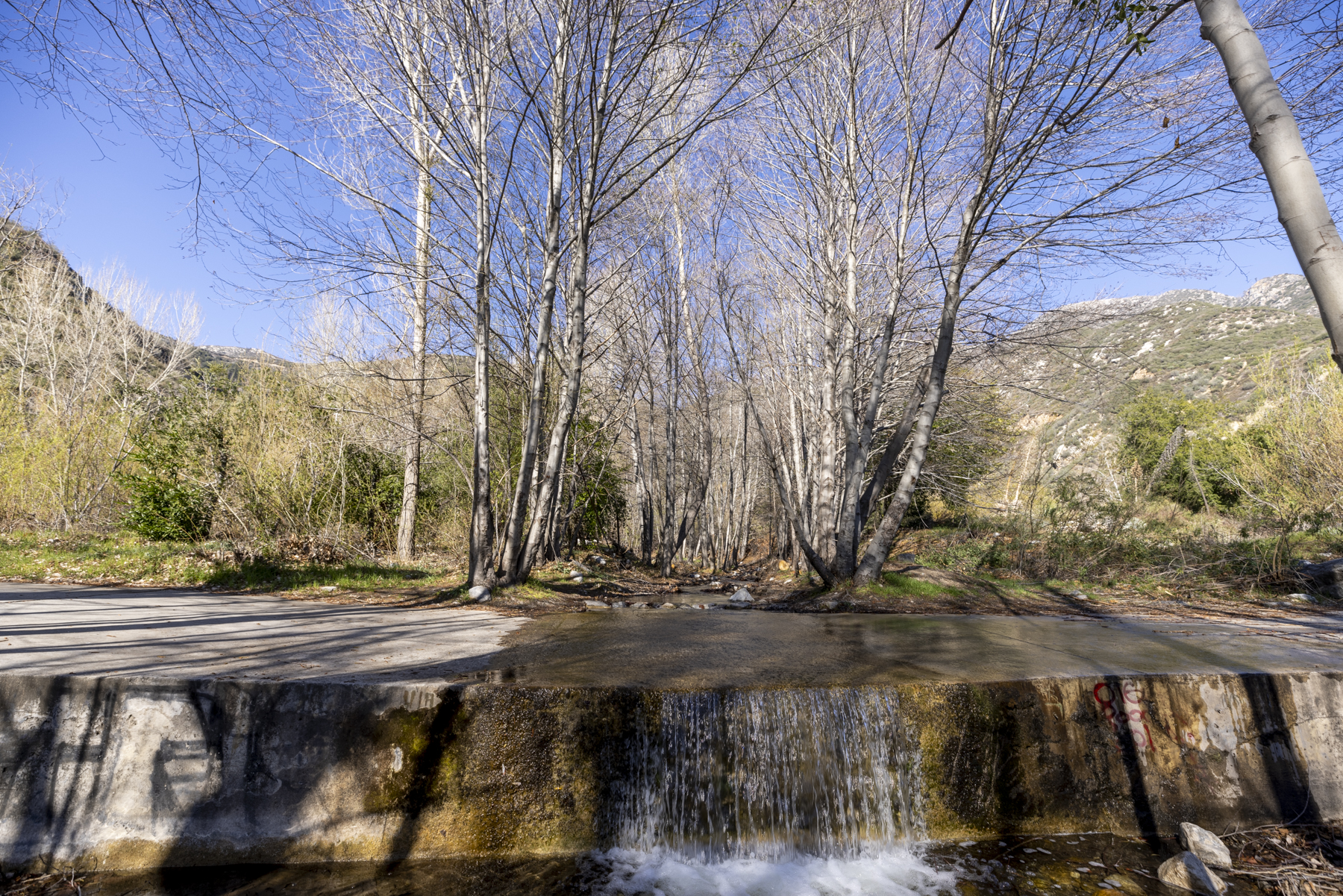 Coldbrook Campground