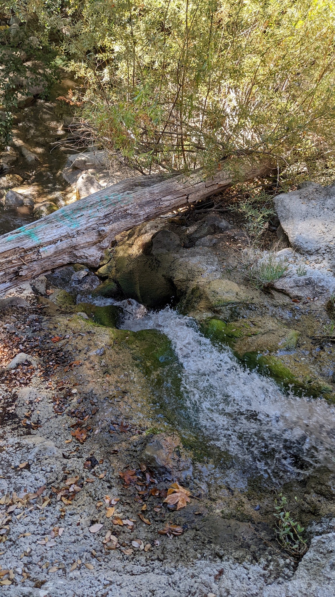 Coldbrook Campground