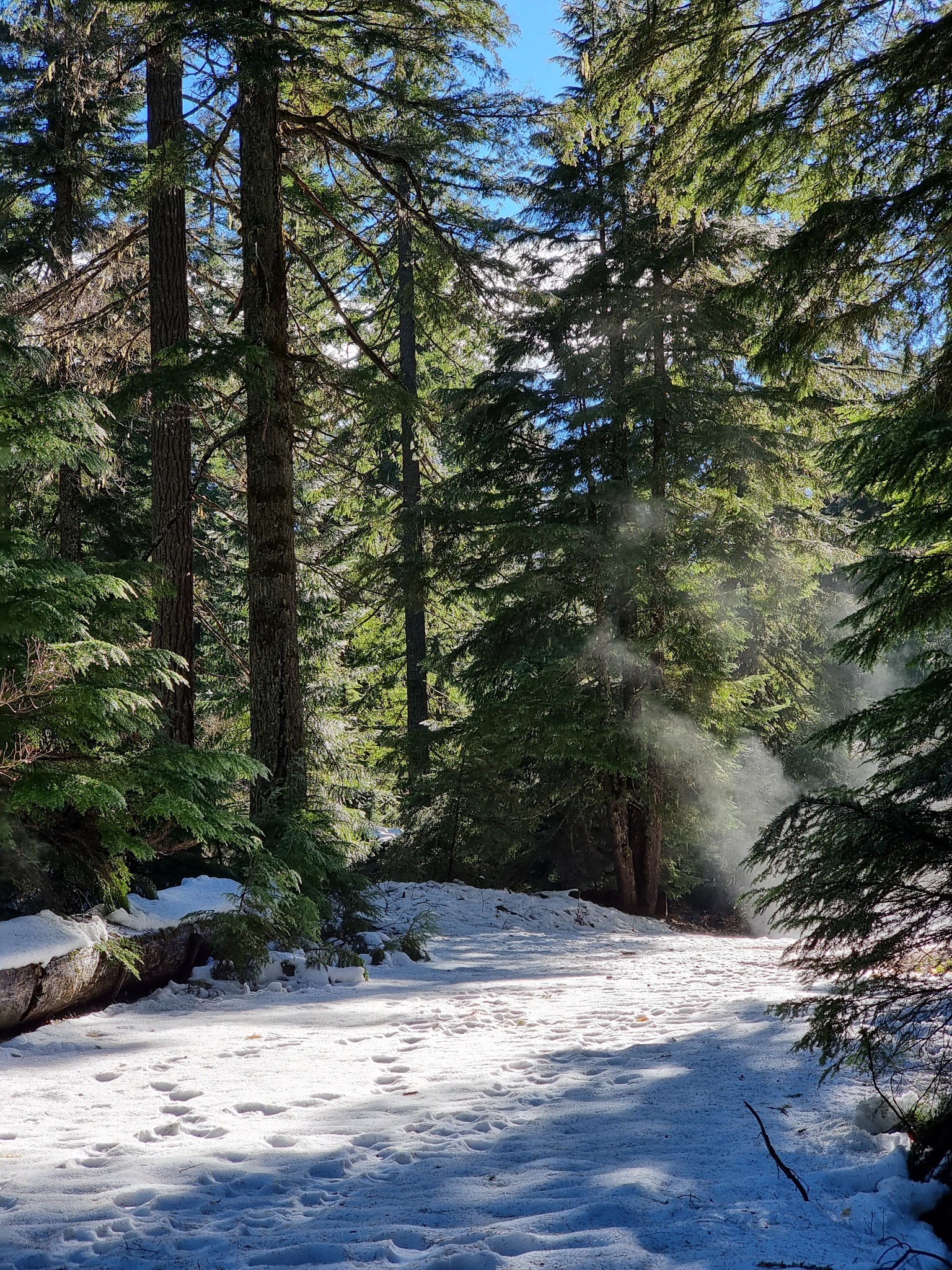 Cold Water Cove - Willamette Nf (Or)