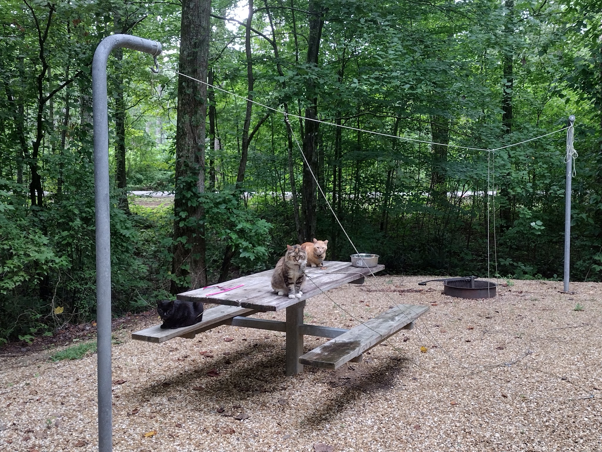 Coleman Lake Recreation Area