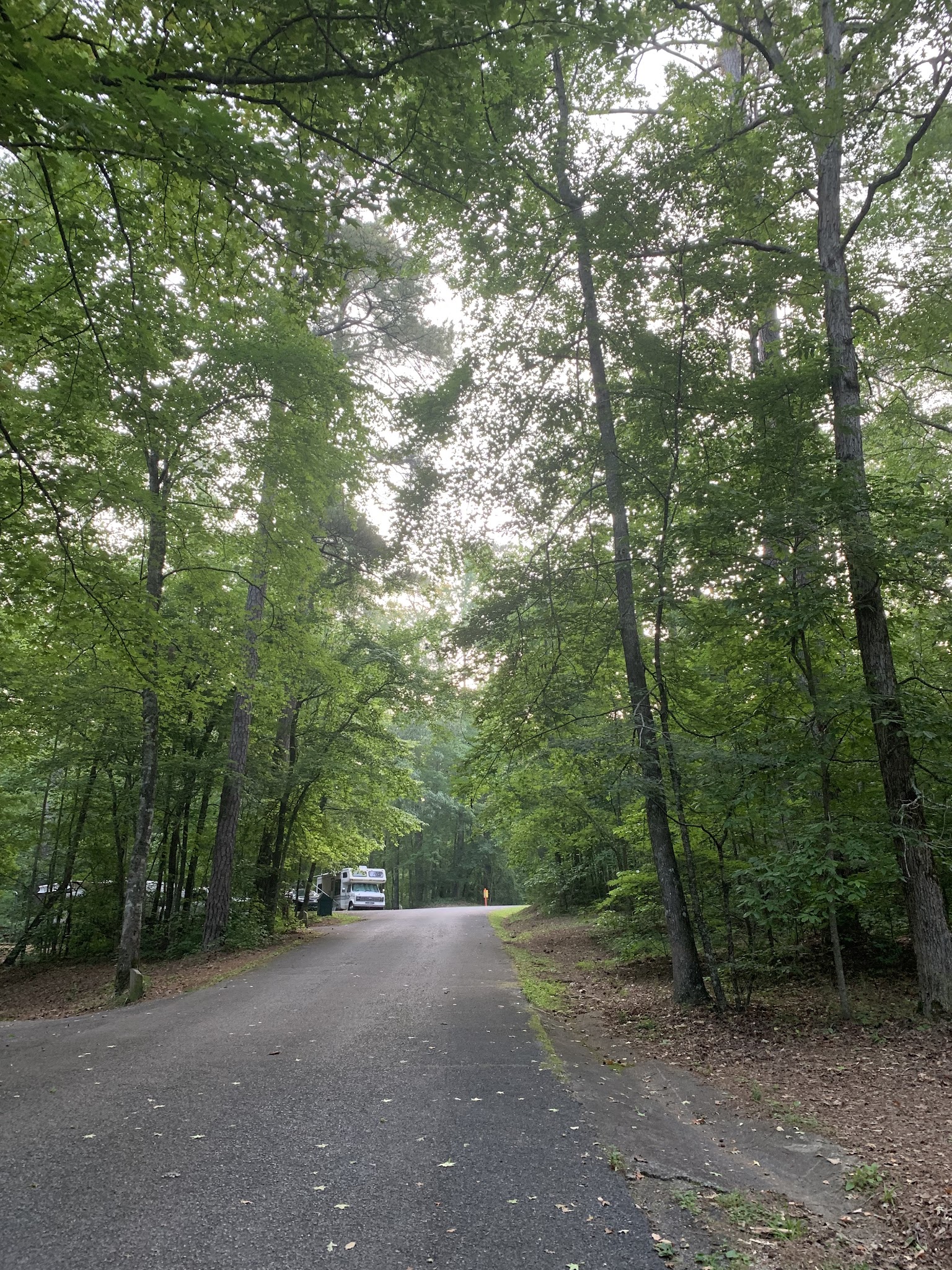 Coleman Lake Recreation Area