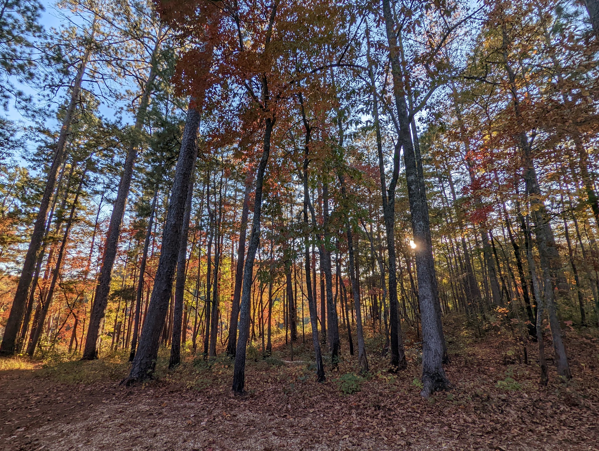 Coleman Lake Recreation Area