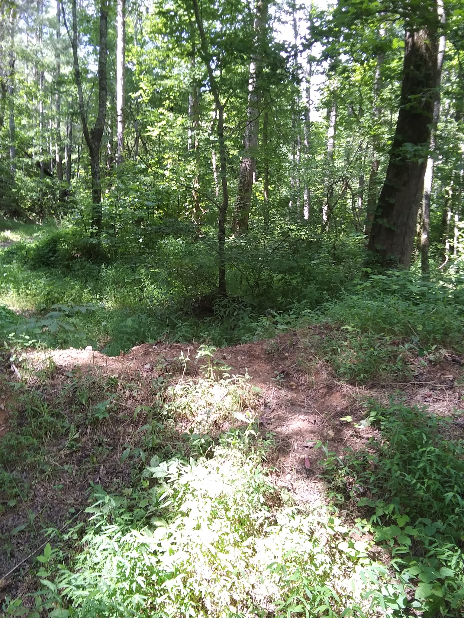 Coleman Lake Recreation Area