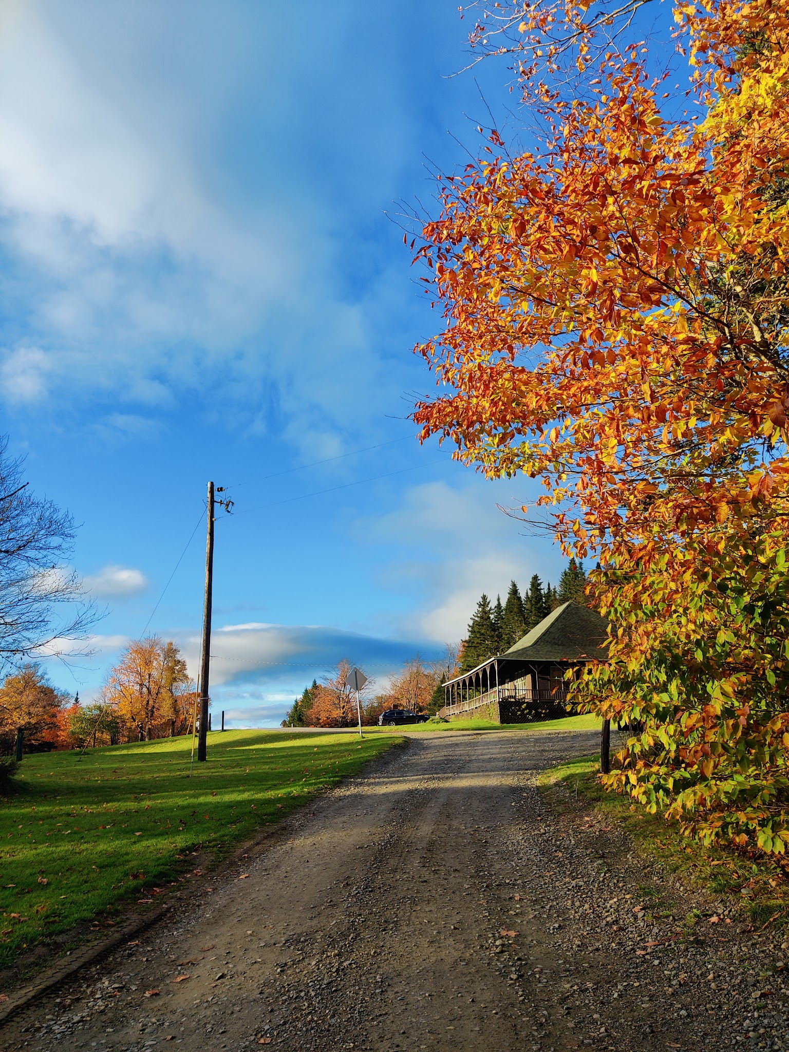 The Lodges At Coleman State Park